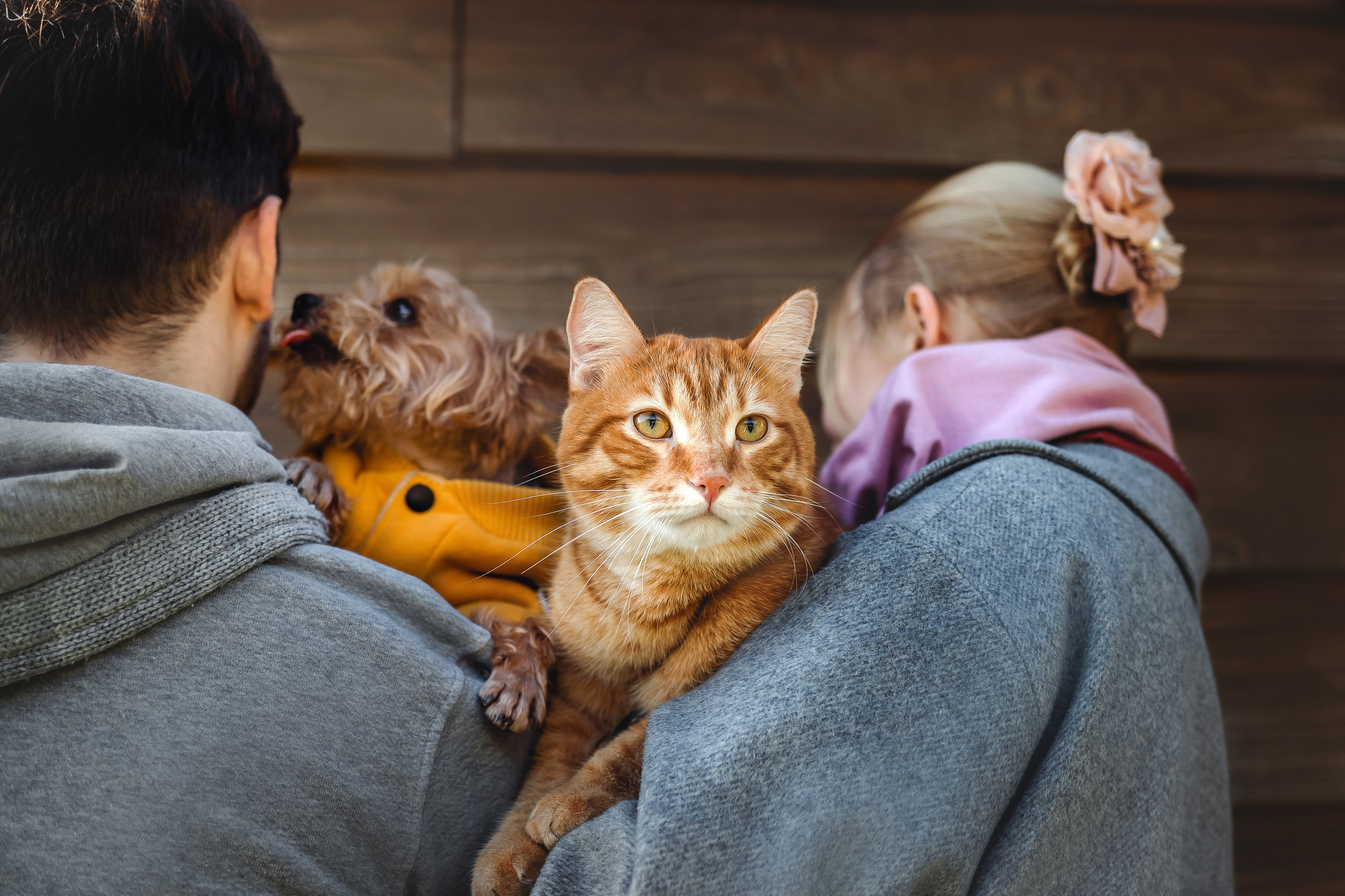 Ира, Филя и Леброн