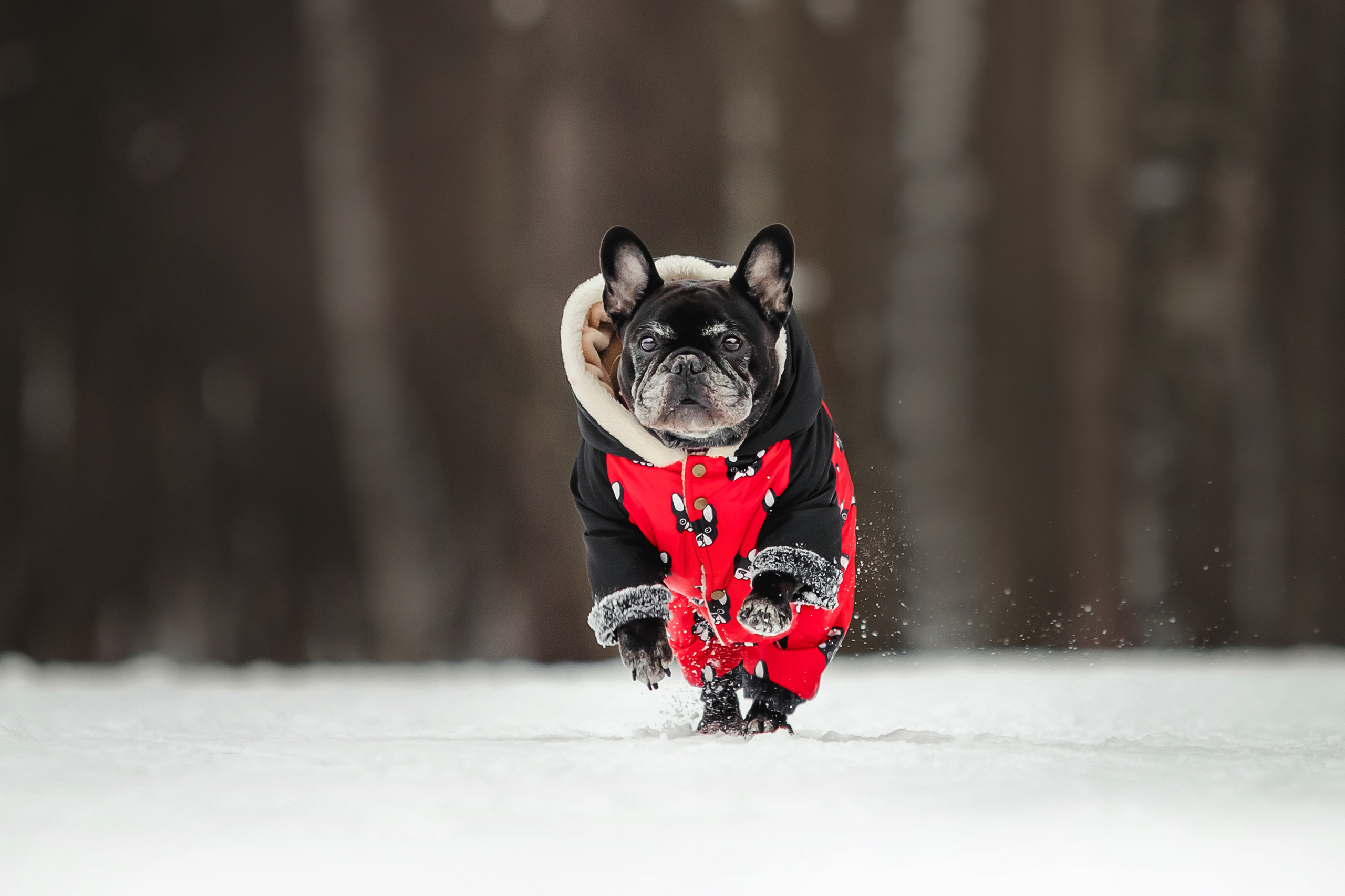 Паулина и Жуля