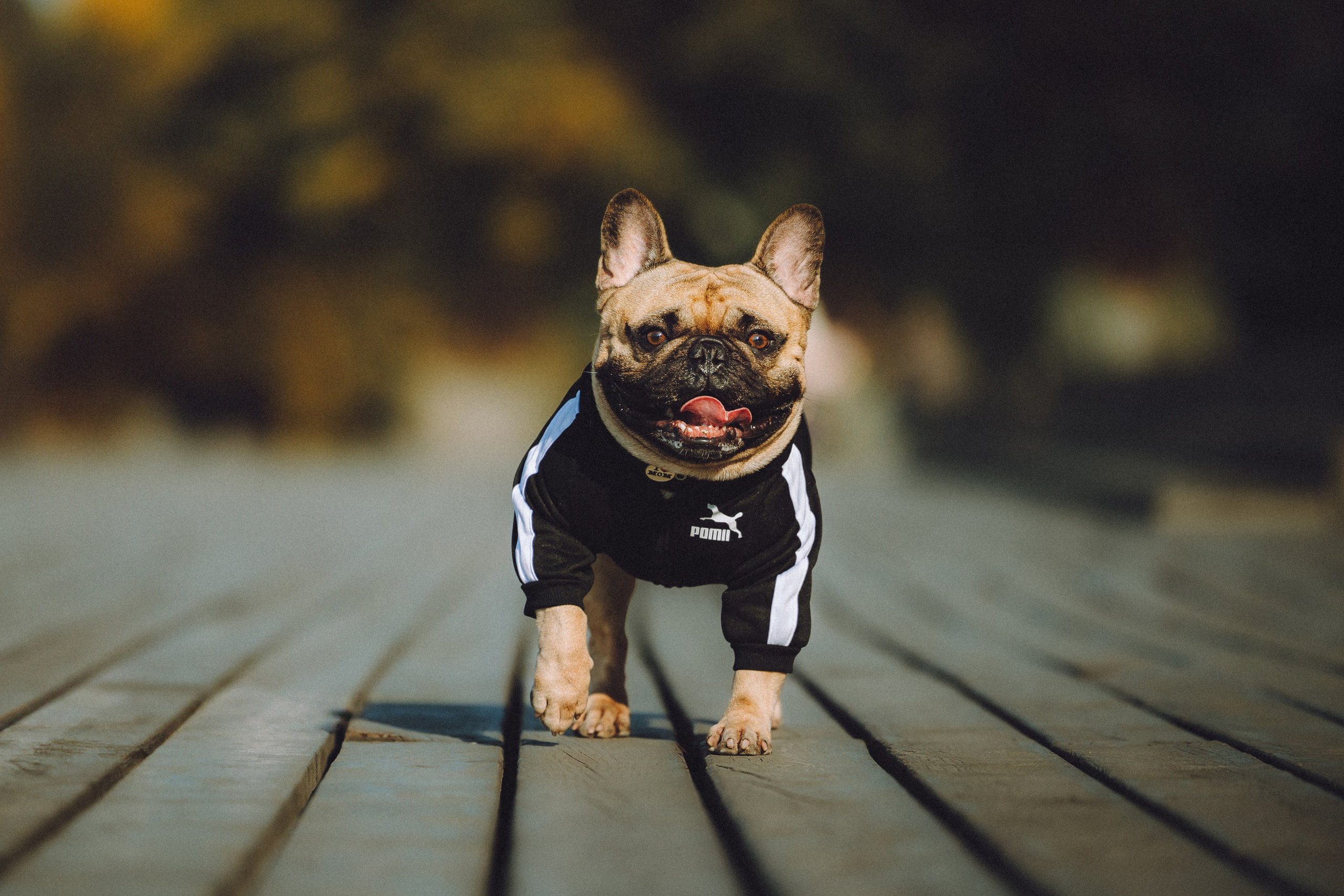 Настя, Женя и Хонор