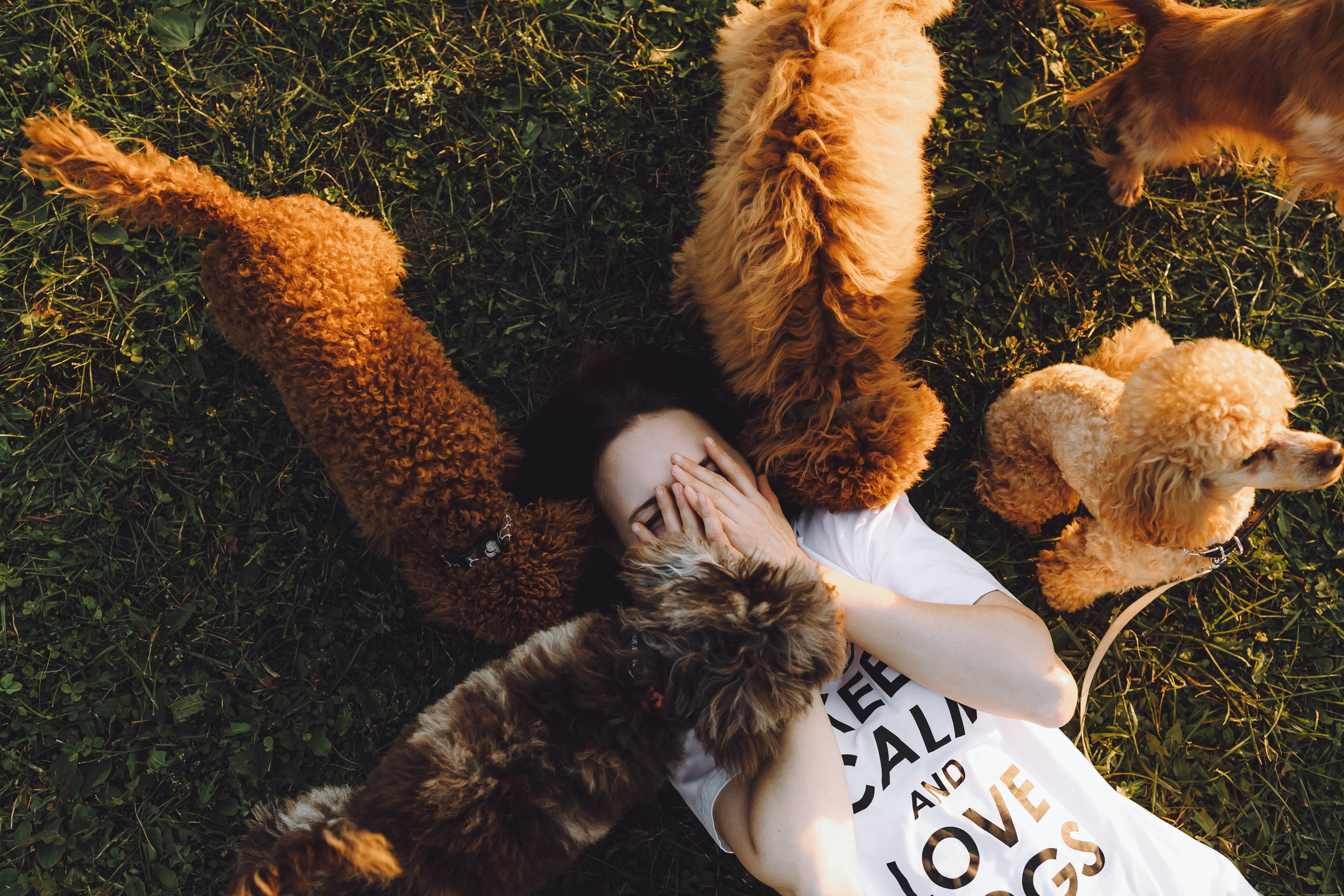 Кристина и все-все