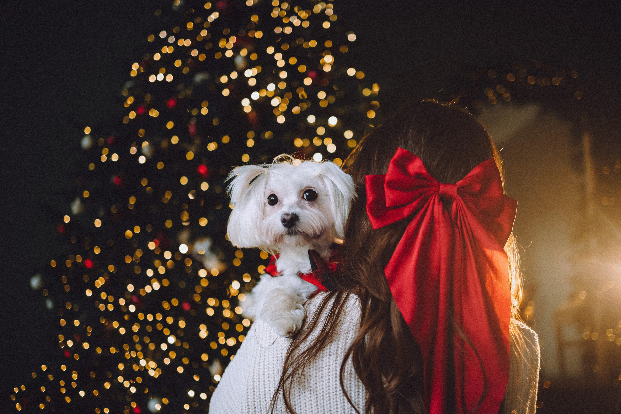 Констанция и Молли