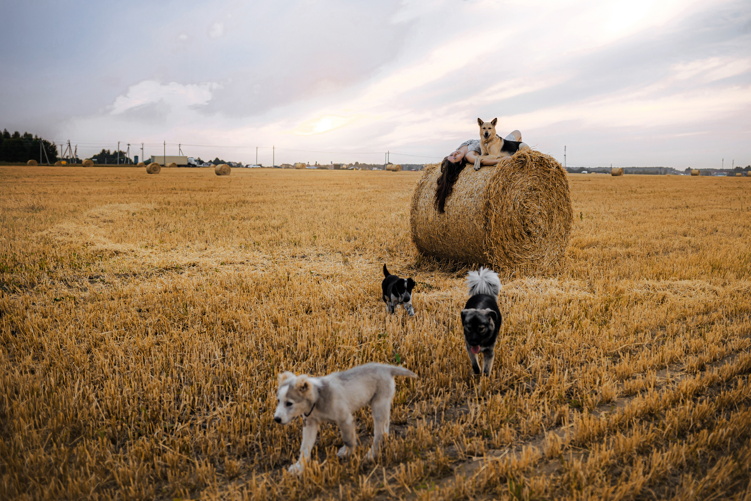 Марина и ее компания