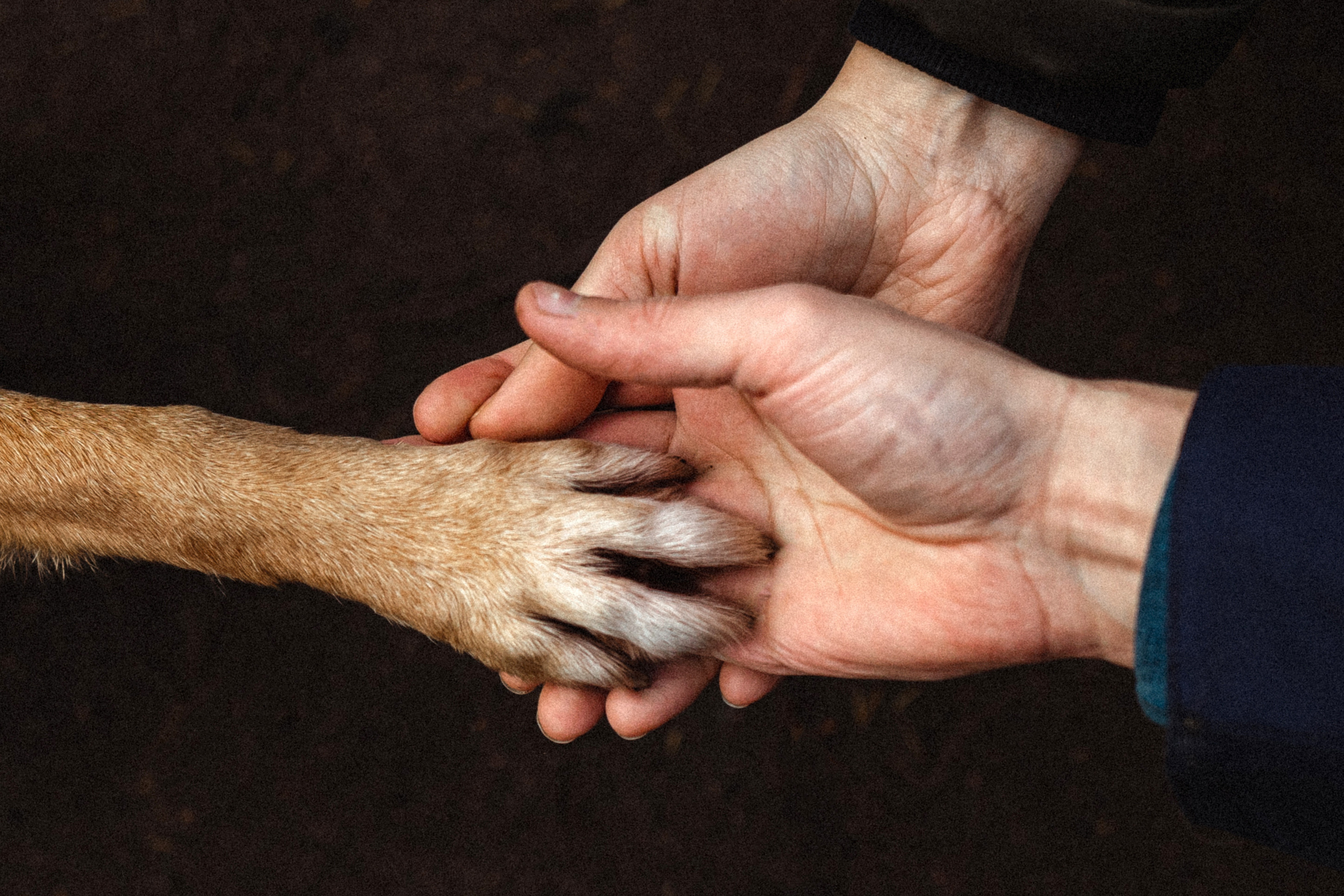 Лика и ее семья