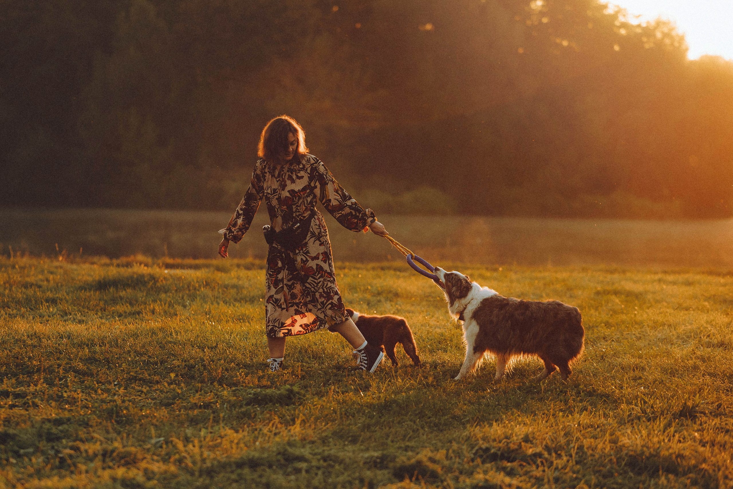 Лена, Принц и Фенек