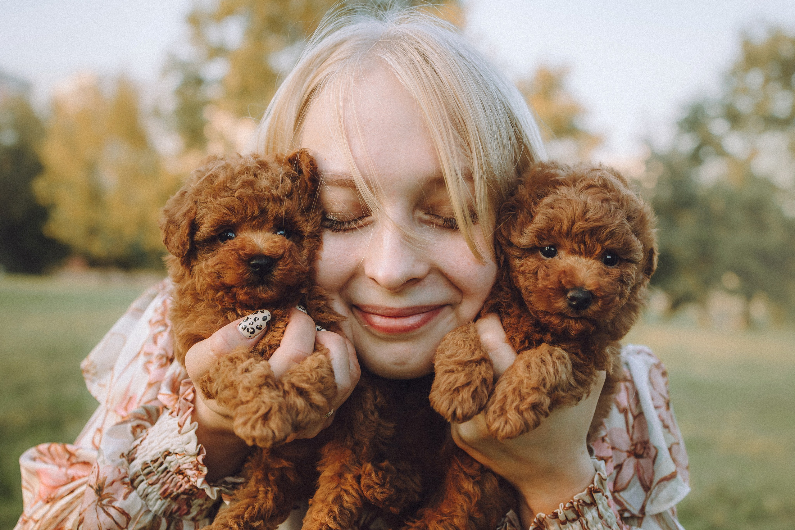 Гречка, Кари и щенки