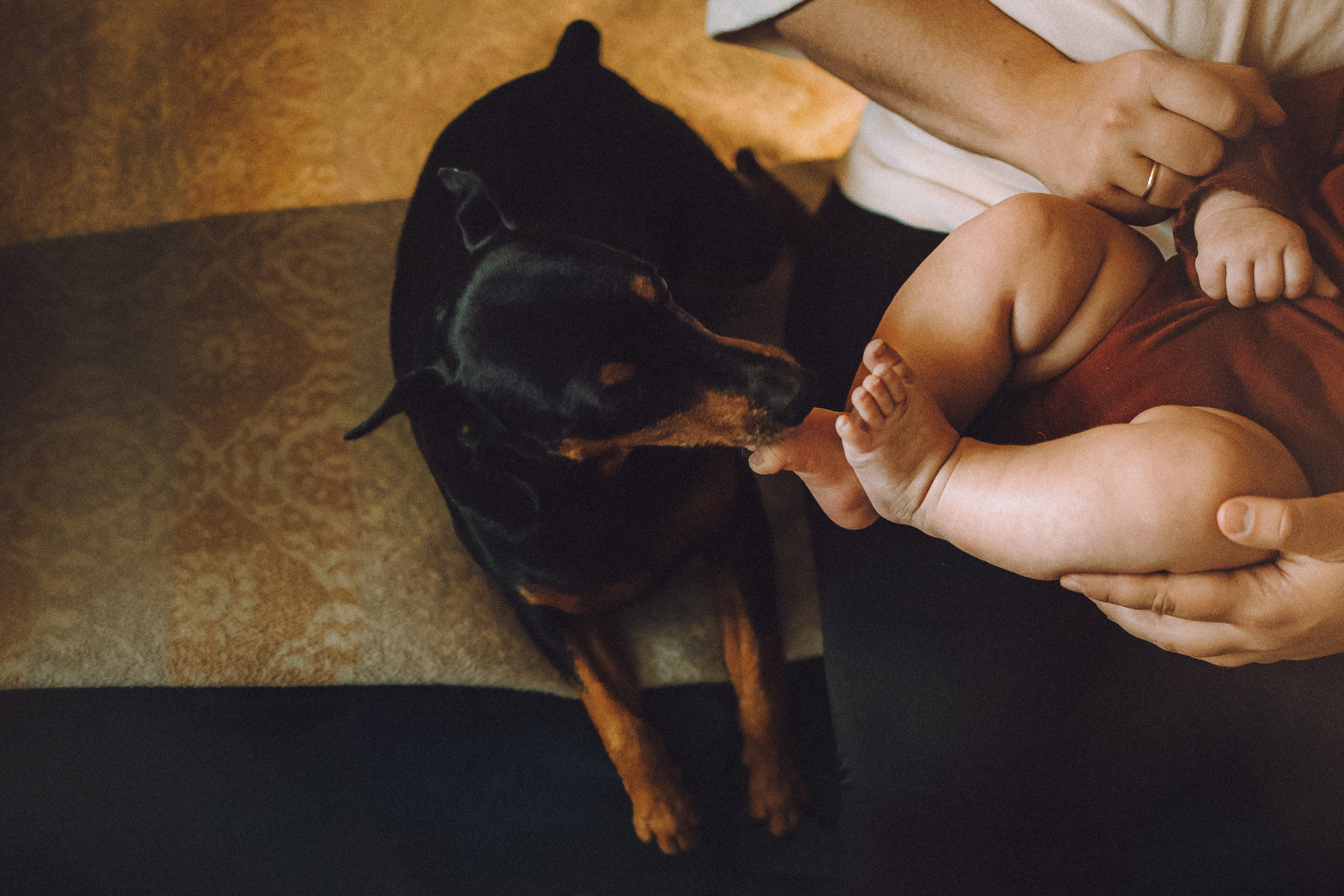 Топик и его семья