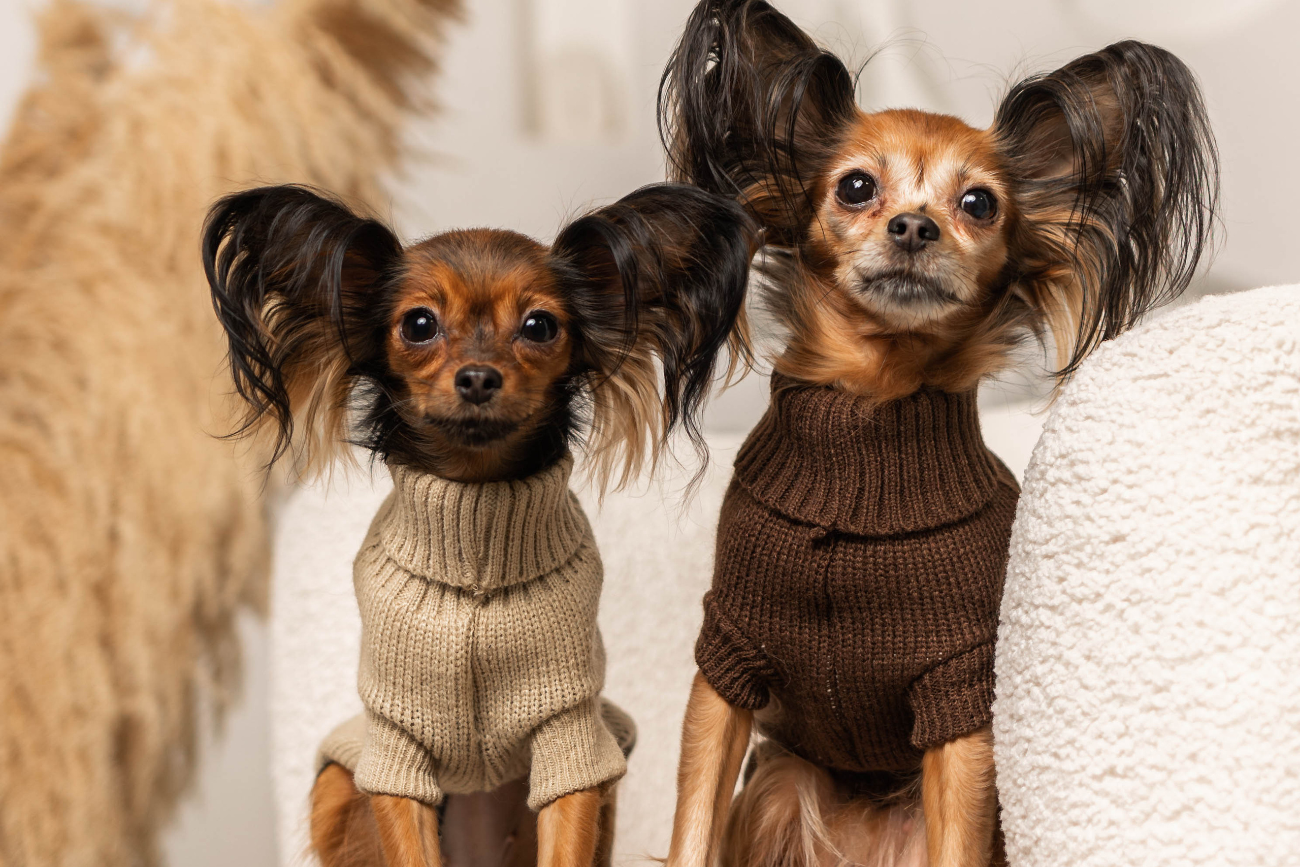 Юта и Холли