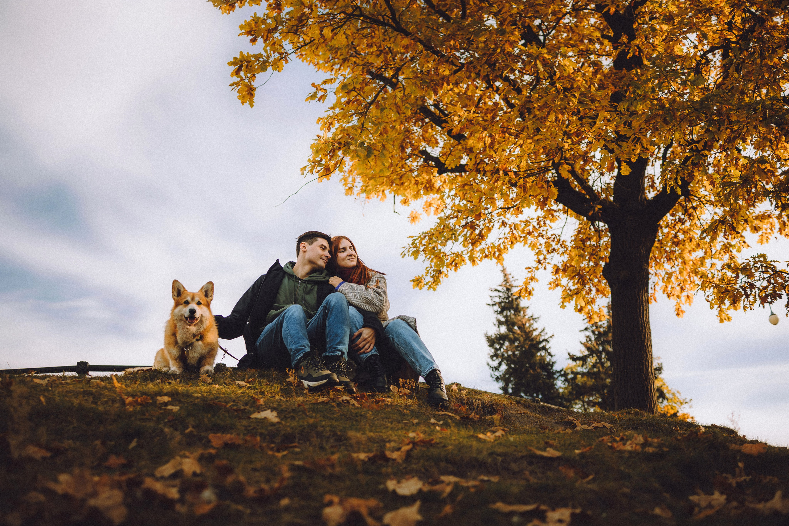 Аня, Максим и Филя