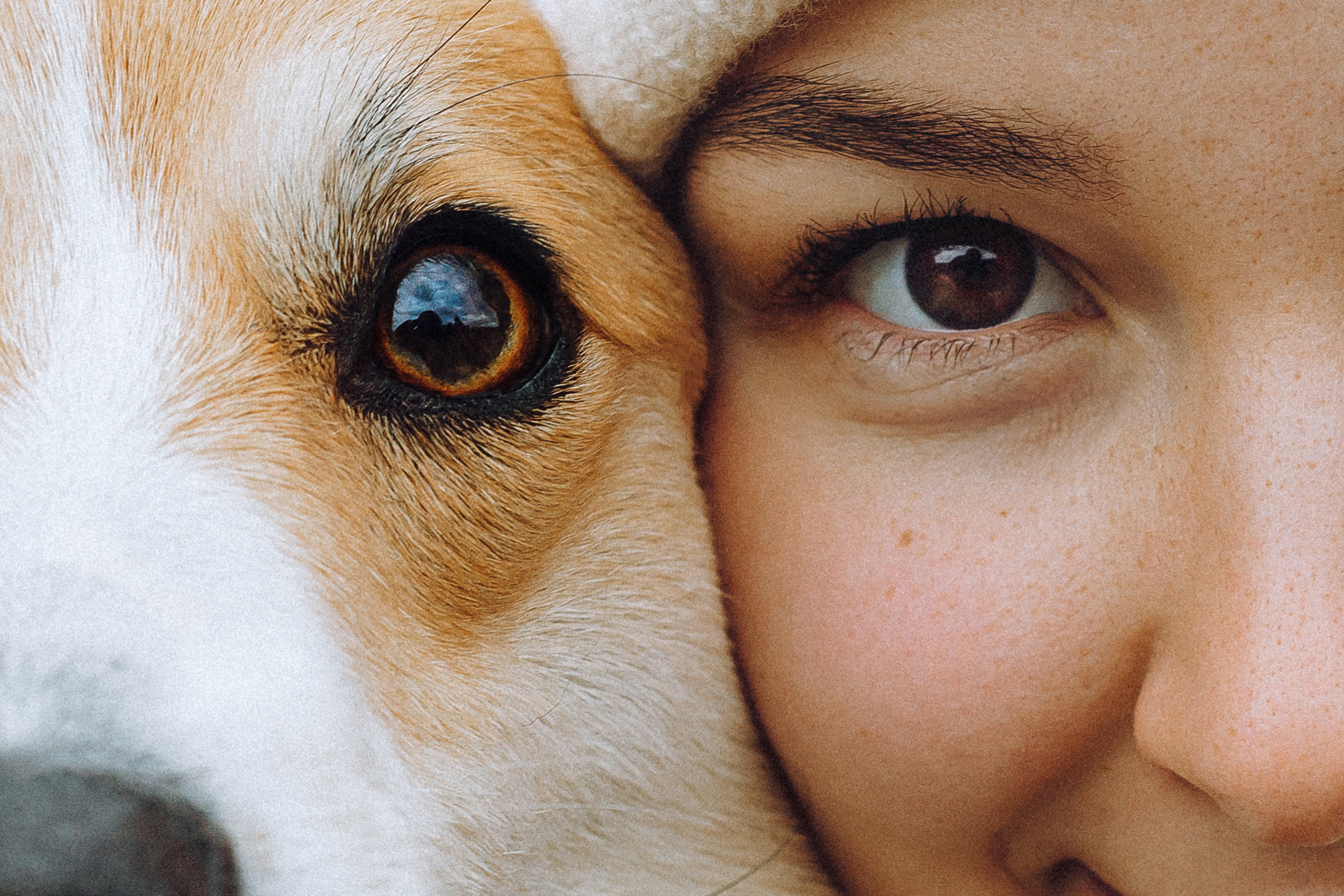 Маша, Женя и Дийкстра