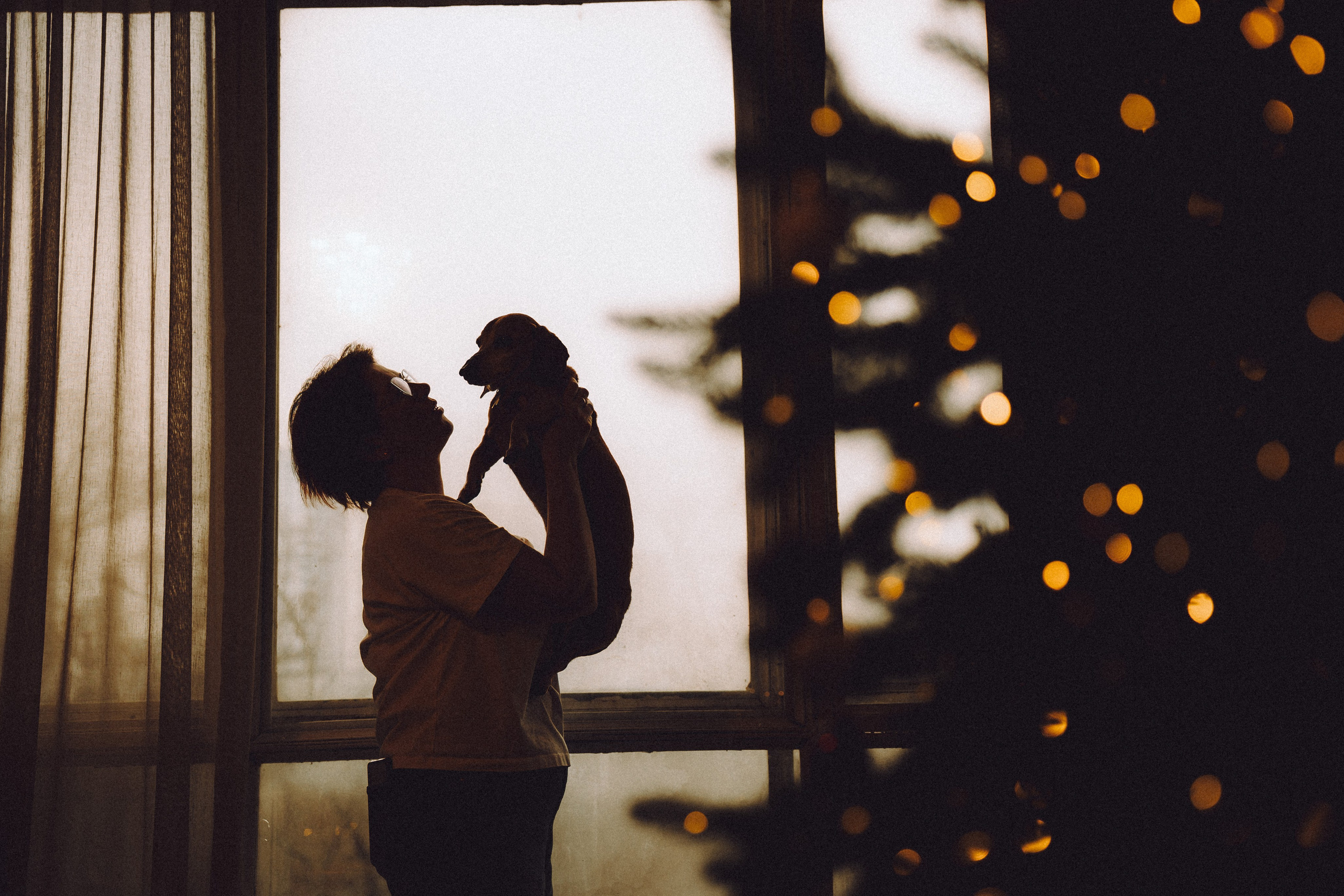 Груша, Данни, Фунтик и их семья