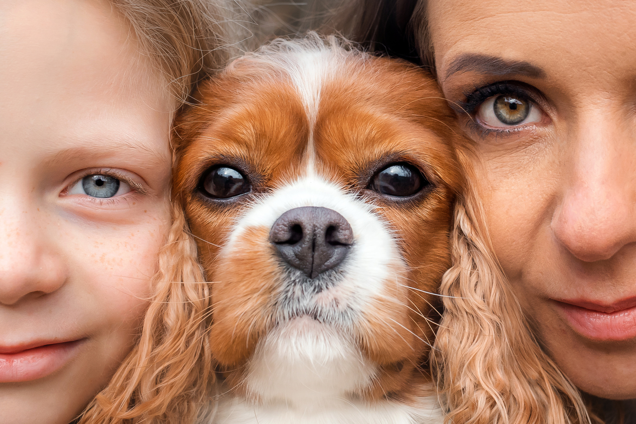 Мари, Аня и Лили