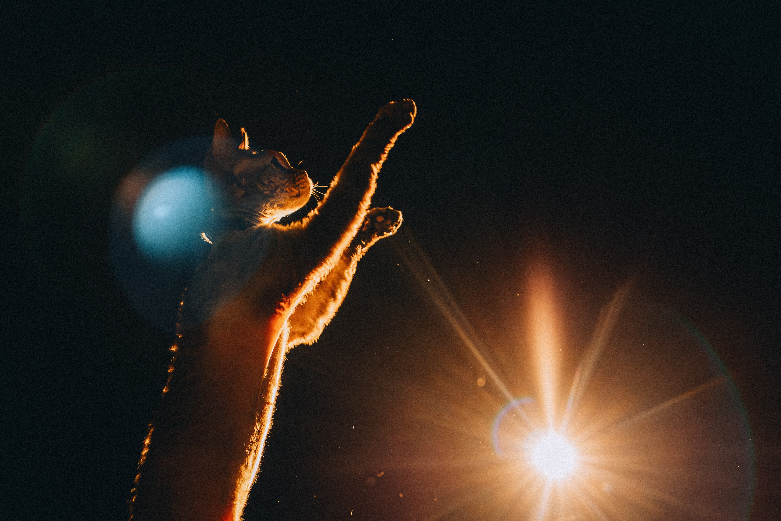 Гречка, Ковш и их семья