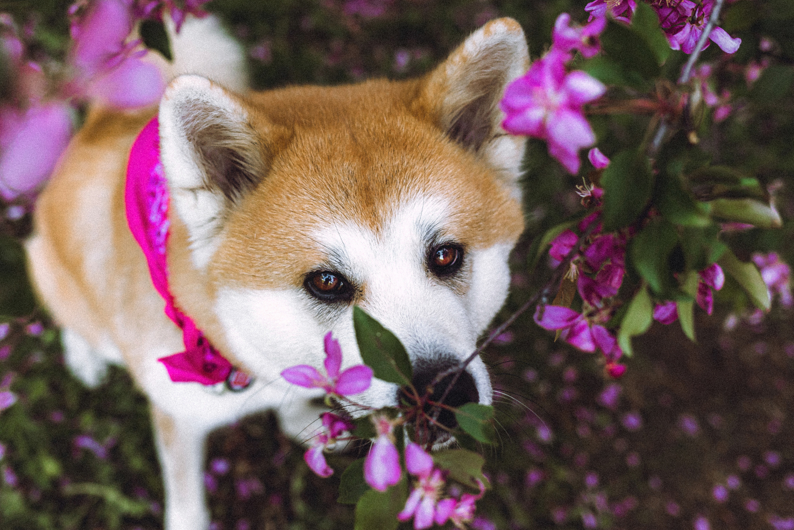 Ксюша, Андрей и Юки