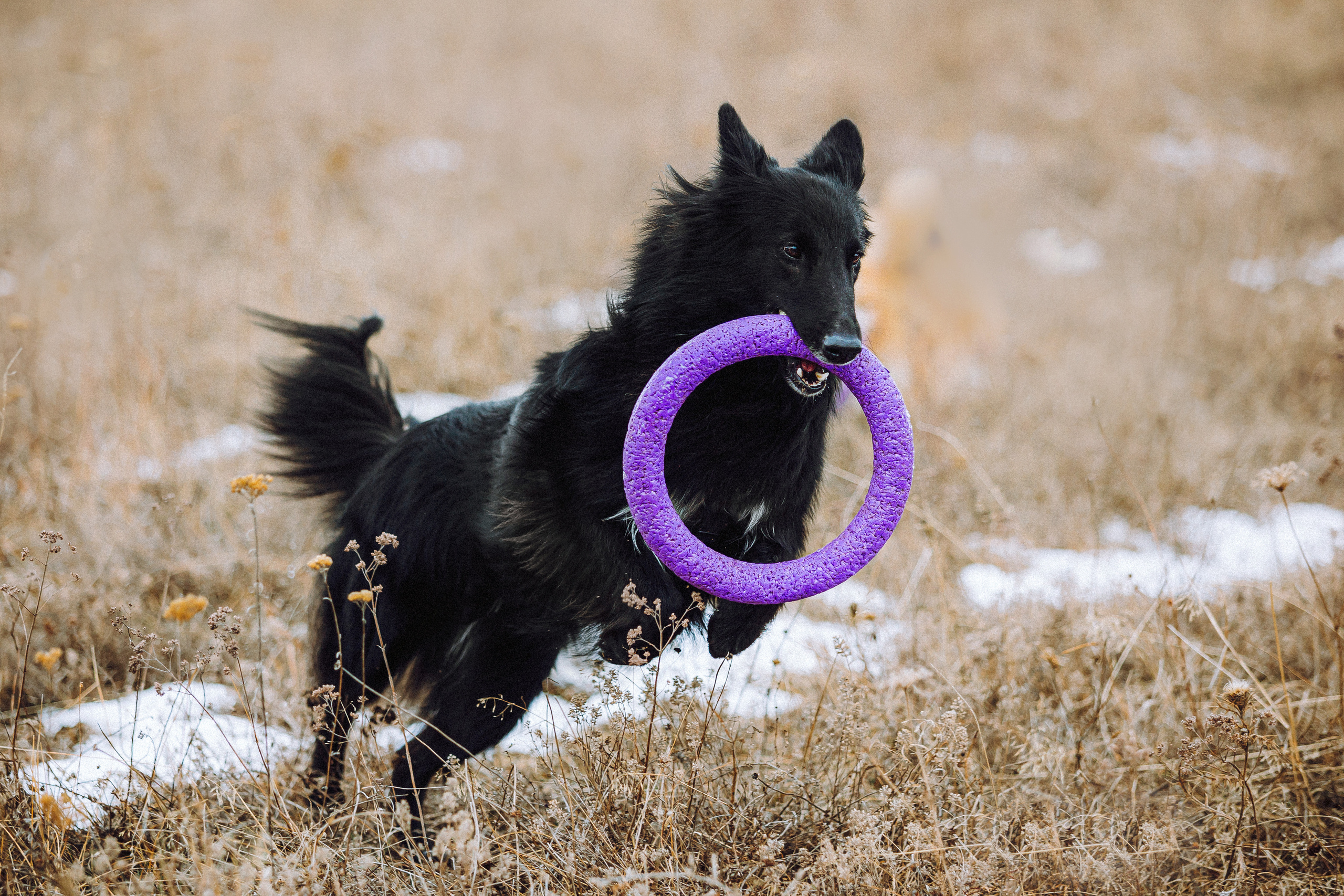 Настя и Сага