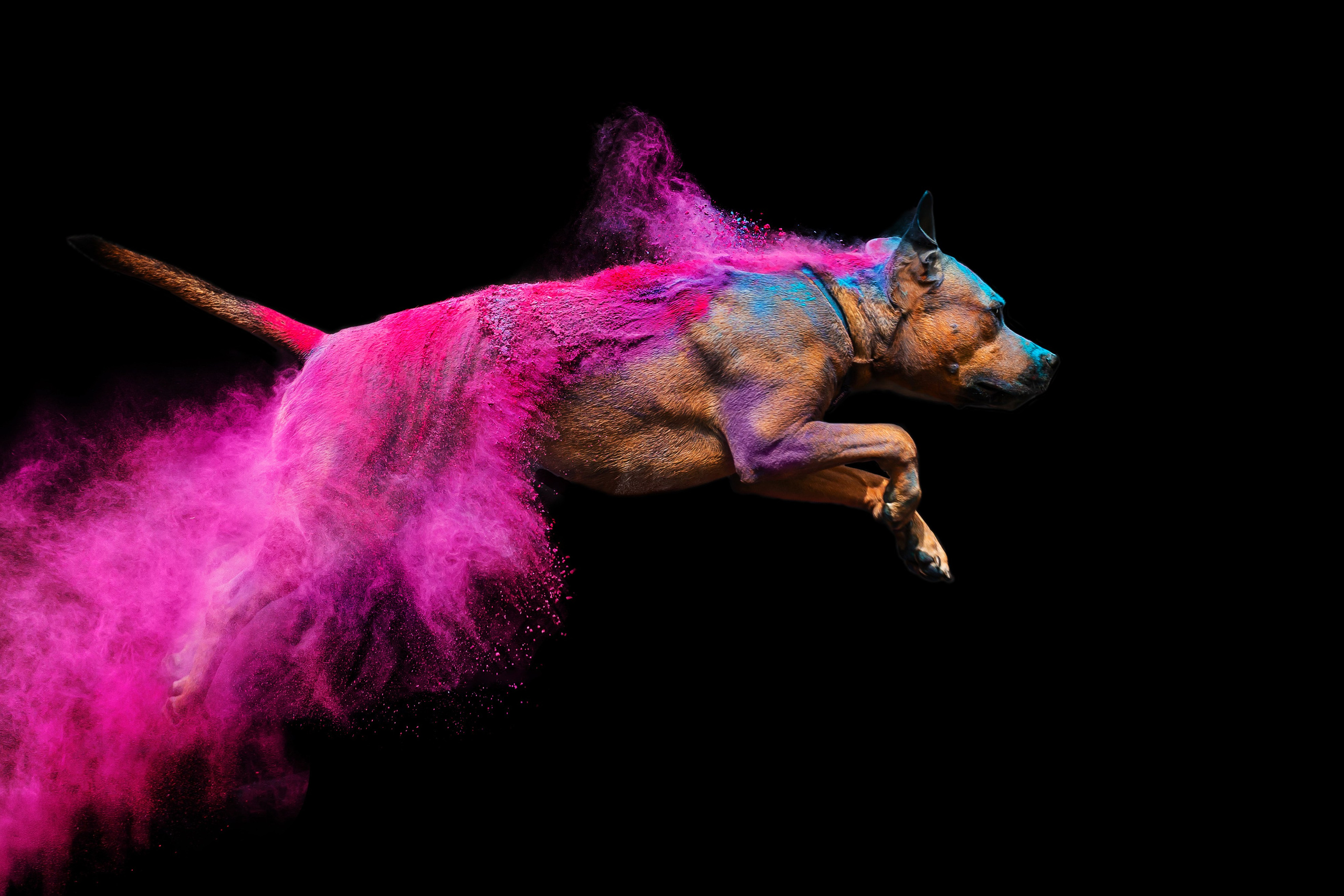 Батлер и Кэти