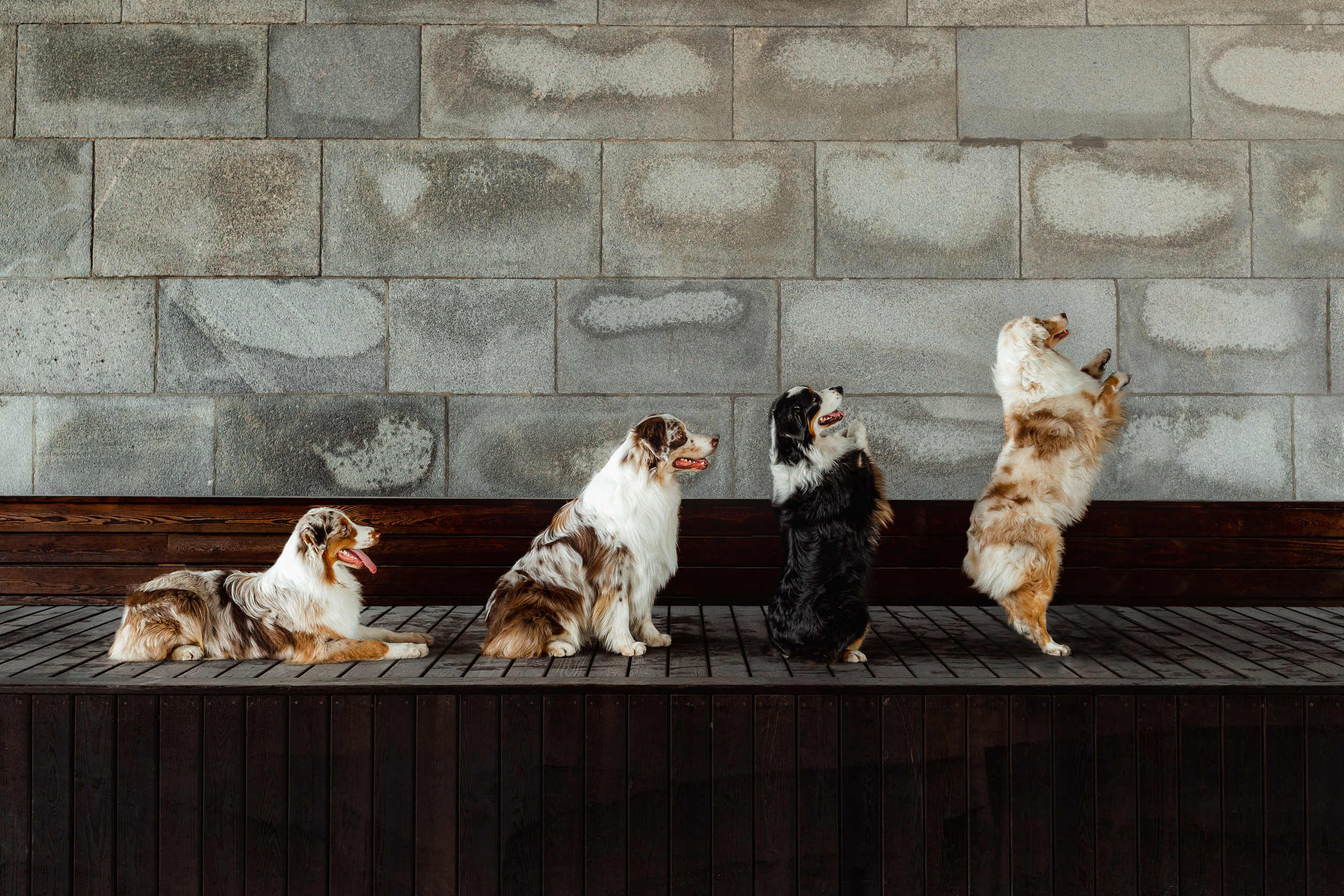 Маша и ее семья