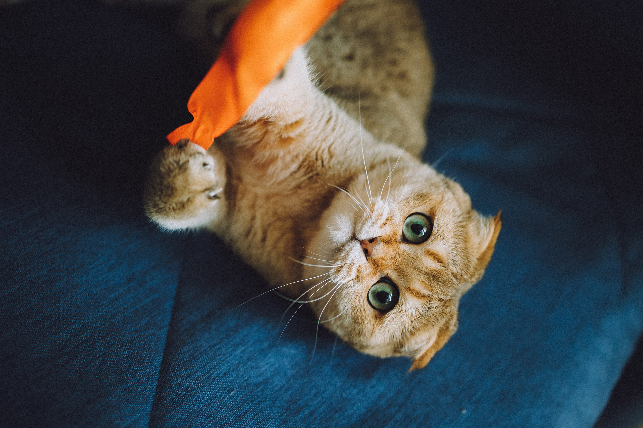 Генри и его семья