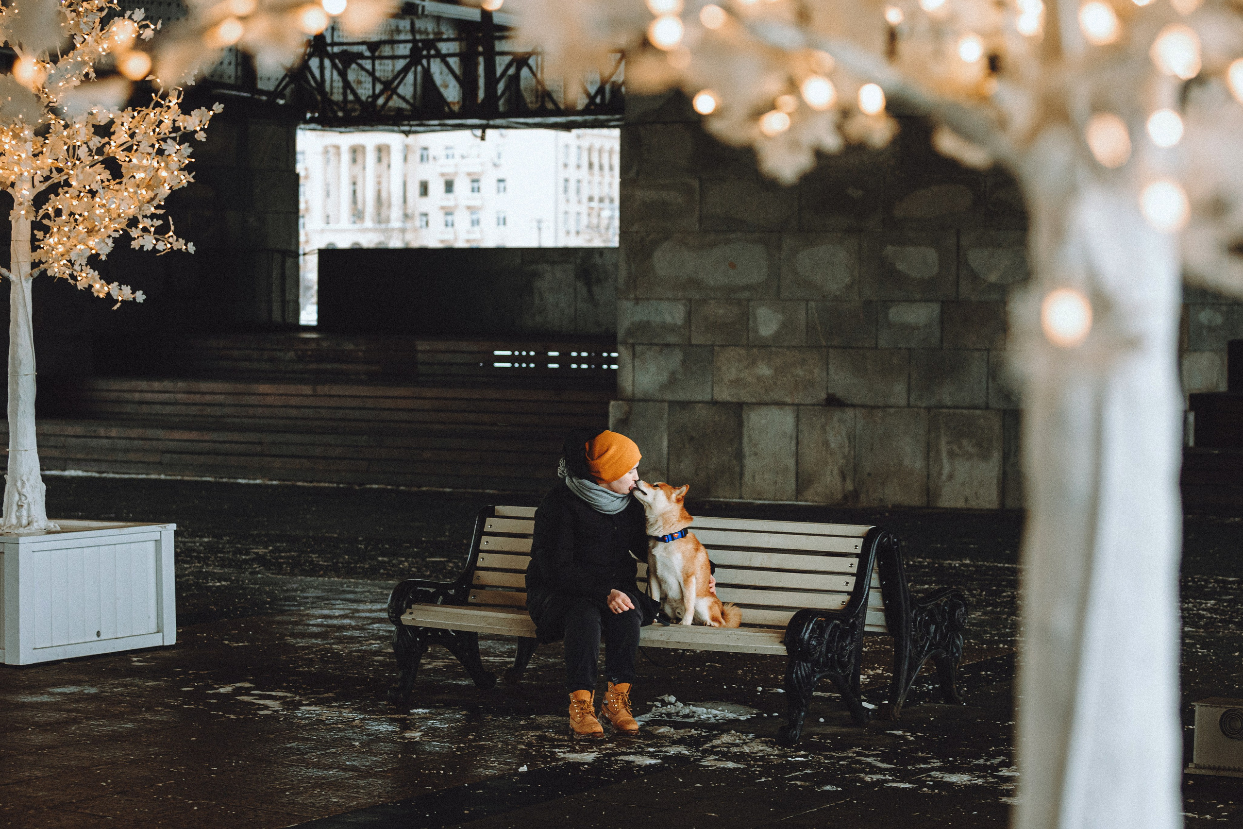 Настя и Ронин