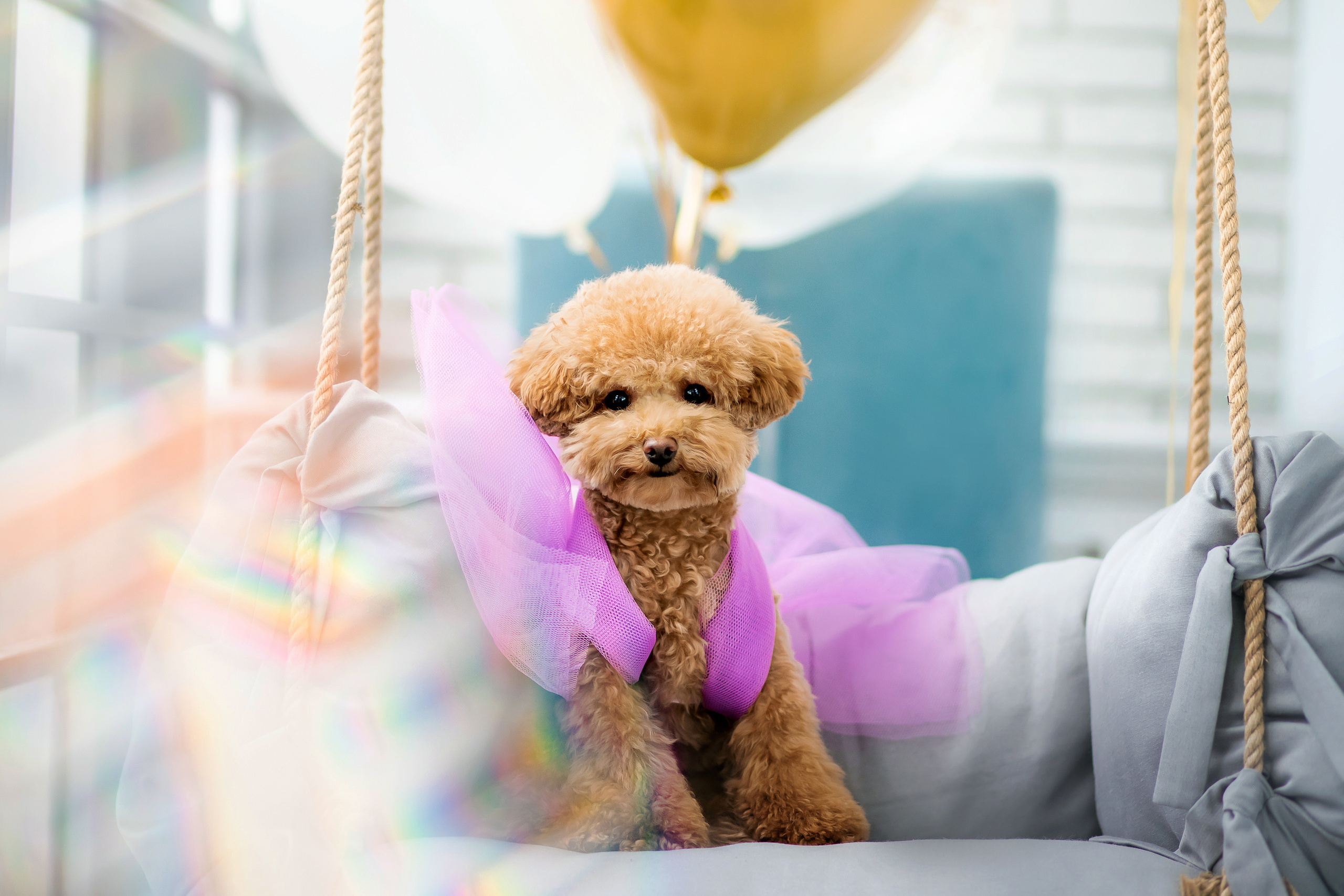 День Рождения Глаши