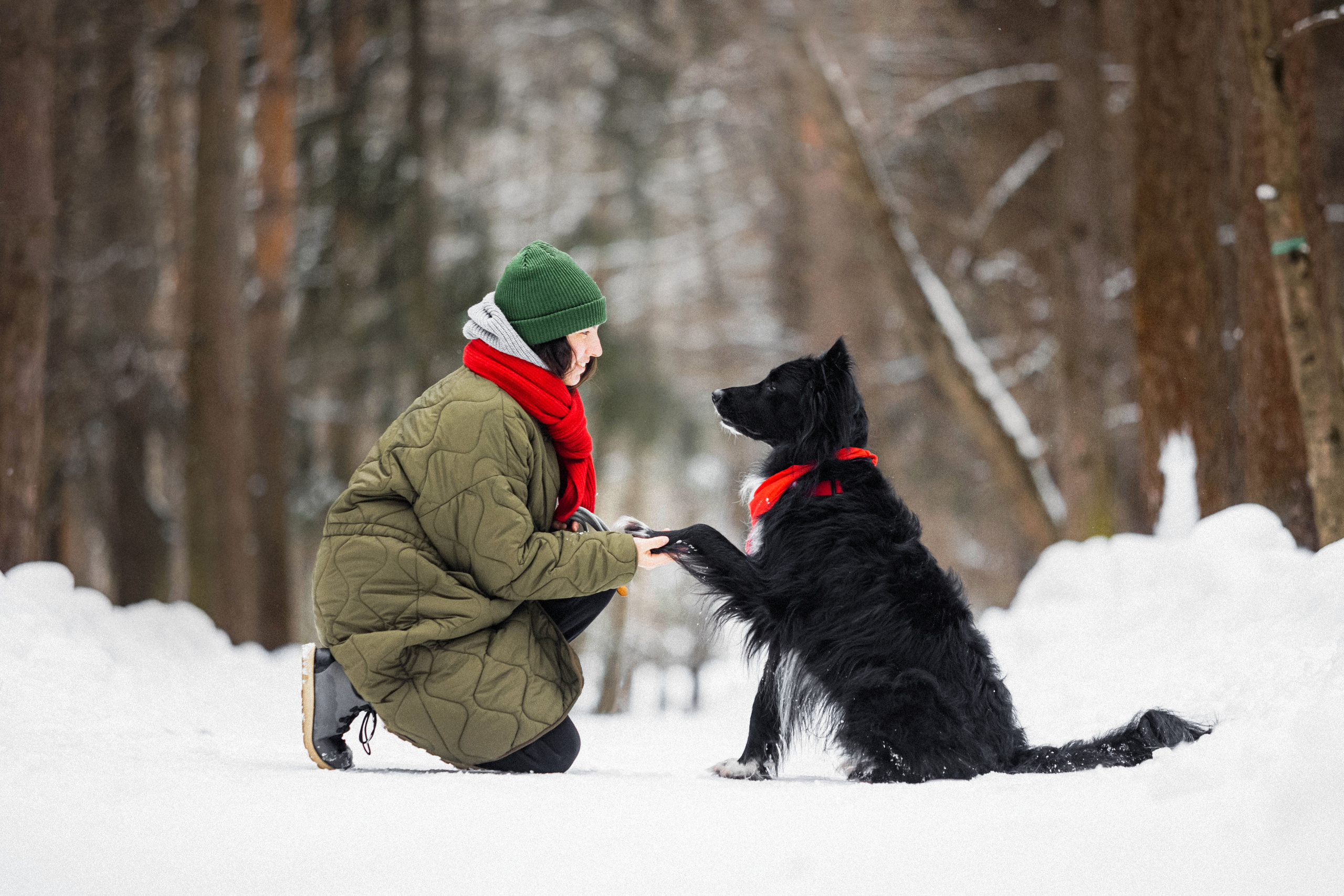 Диана и Чили