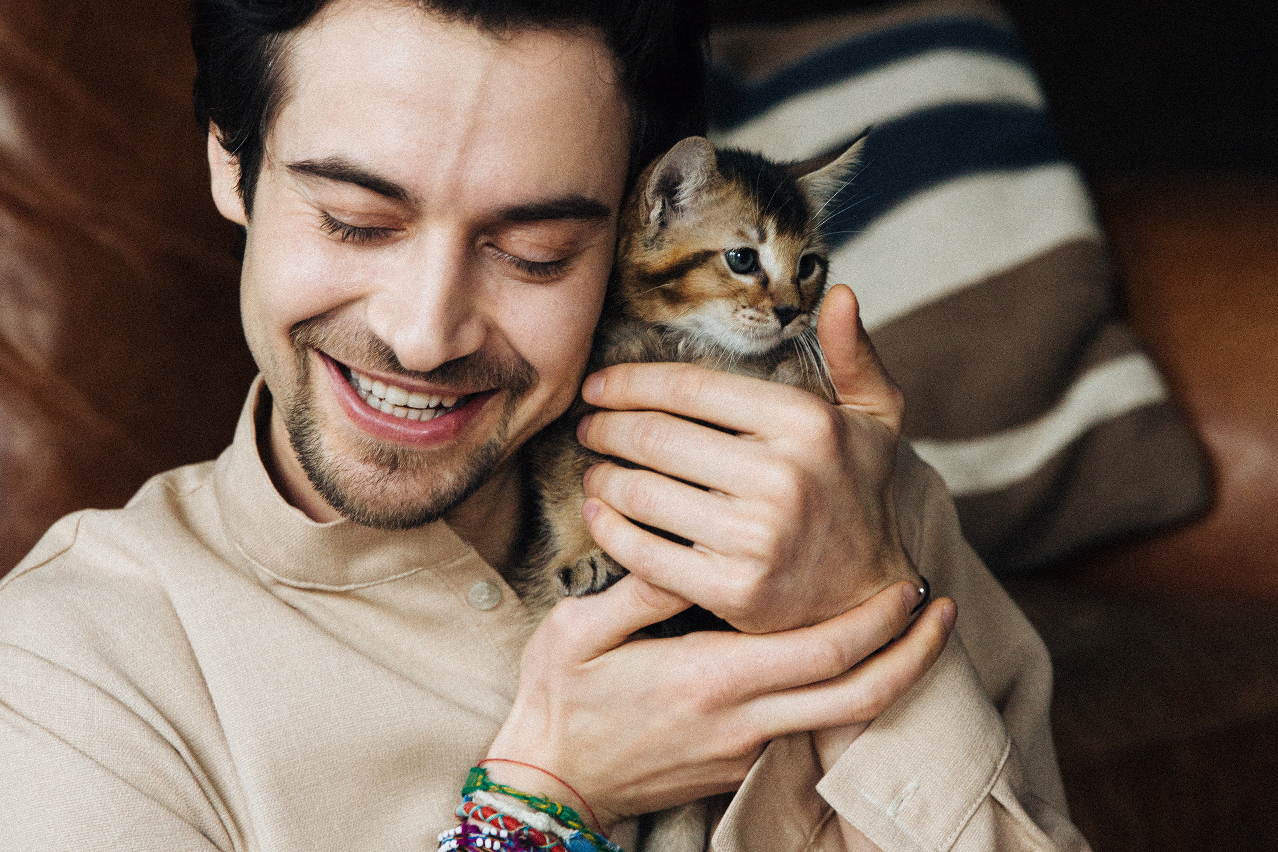 Роман с кошками