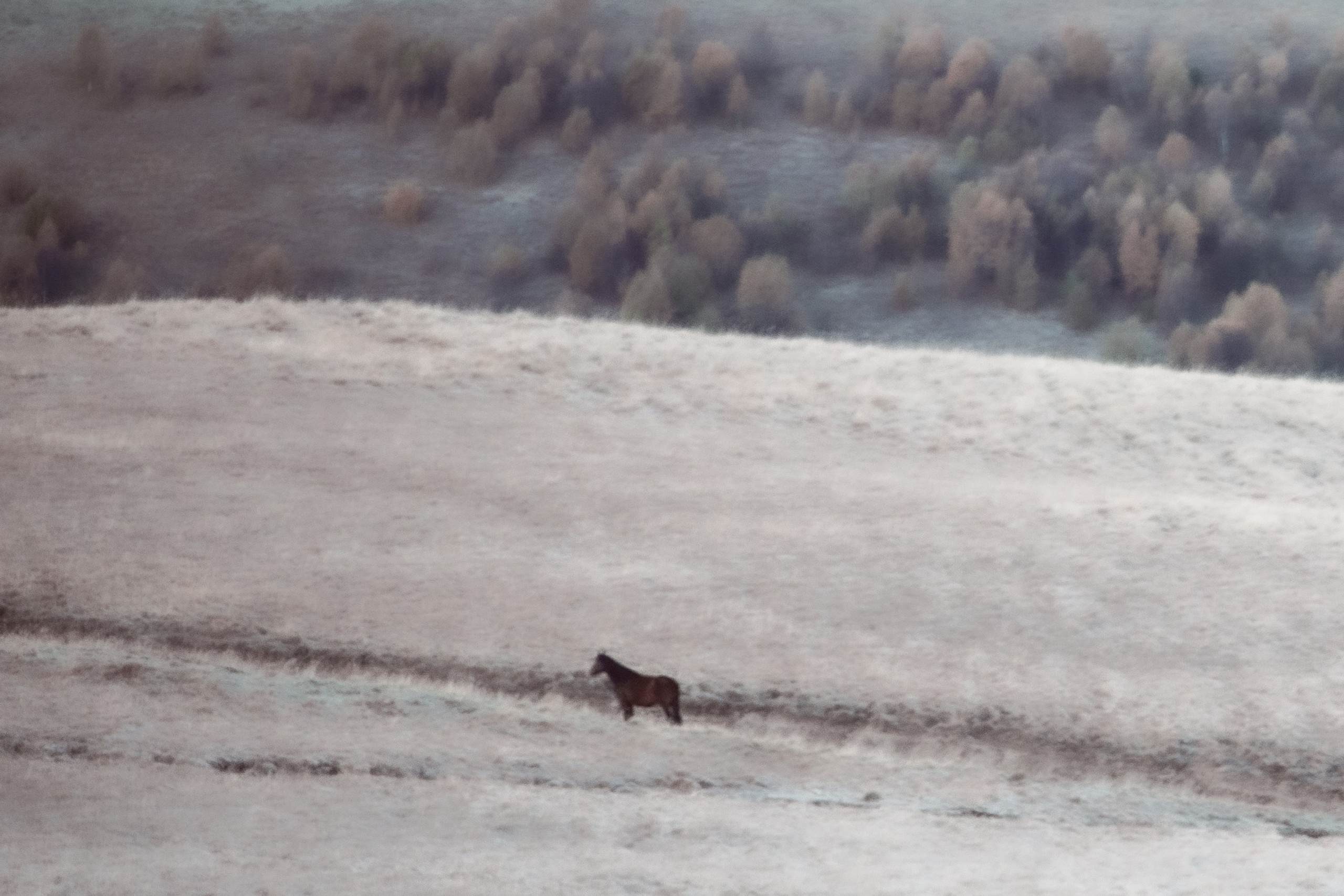 Архив (2021-2025)
