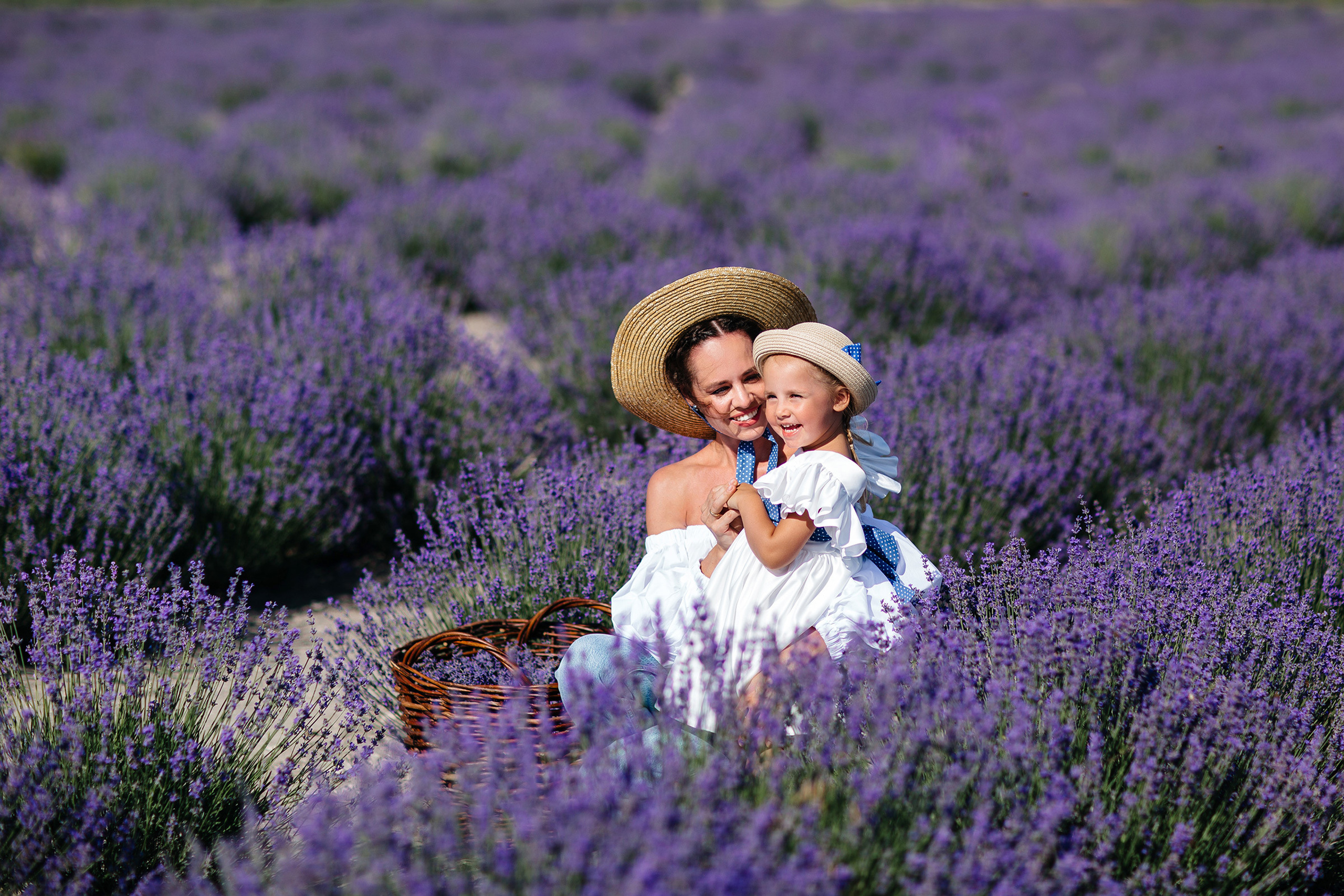 Lavanda