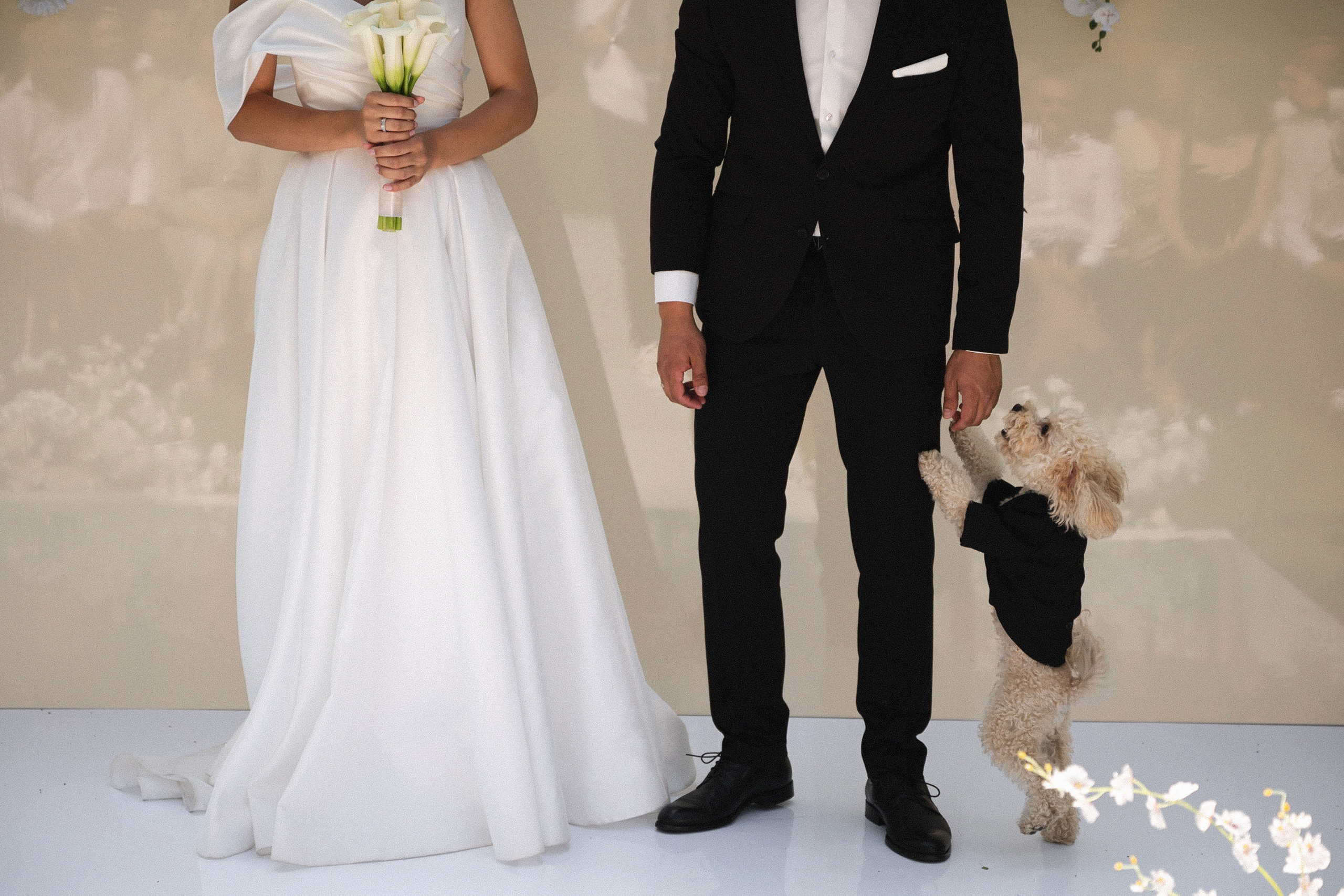 Wedding day. Свадебный фотограф Наталья Доронина