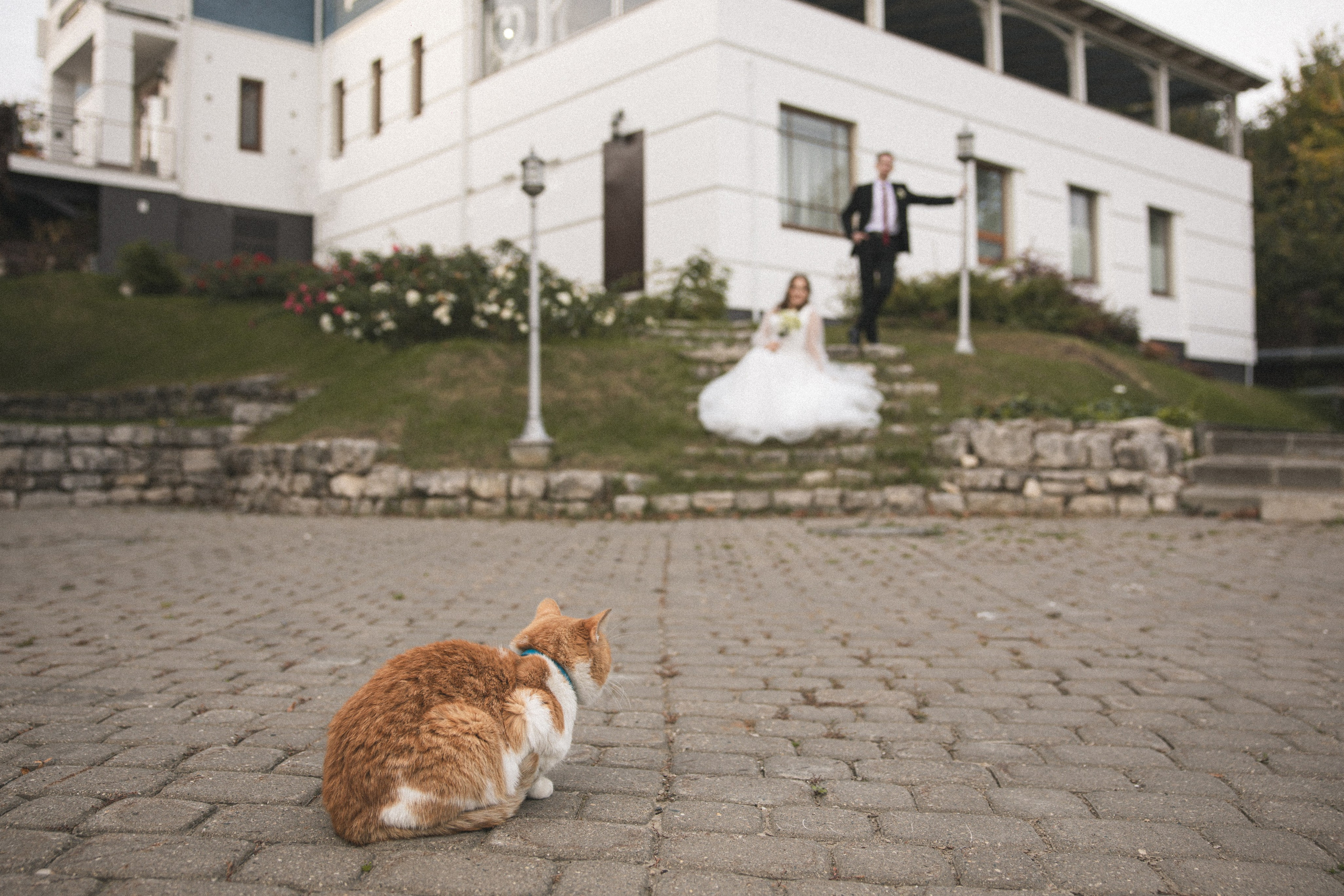 A & V. Свадебный Фотограф и Видеограф — Анастасия Лункина