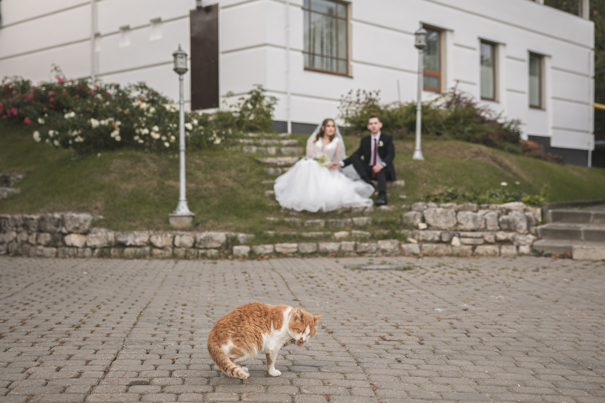 A & V. Свадебный Фотограф и Видеограф — Анастасия Лункина