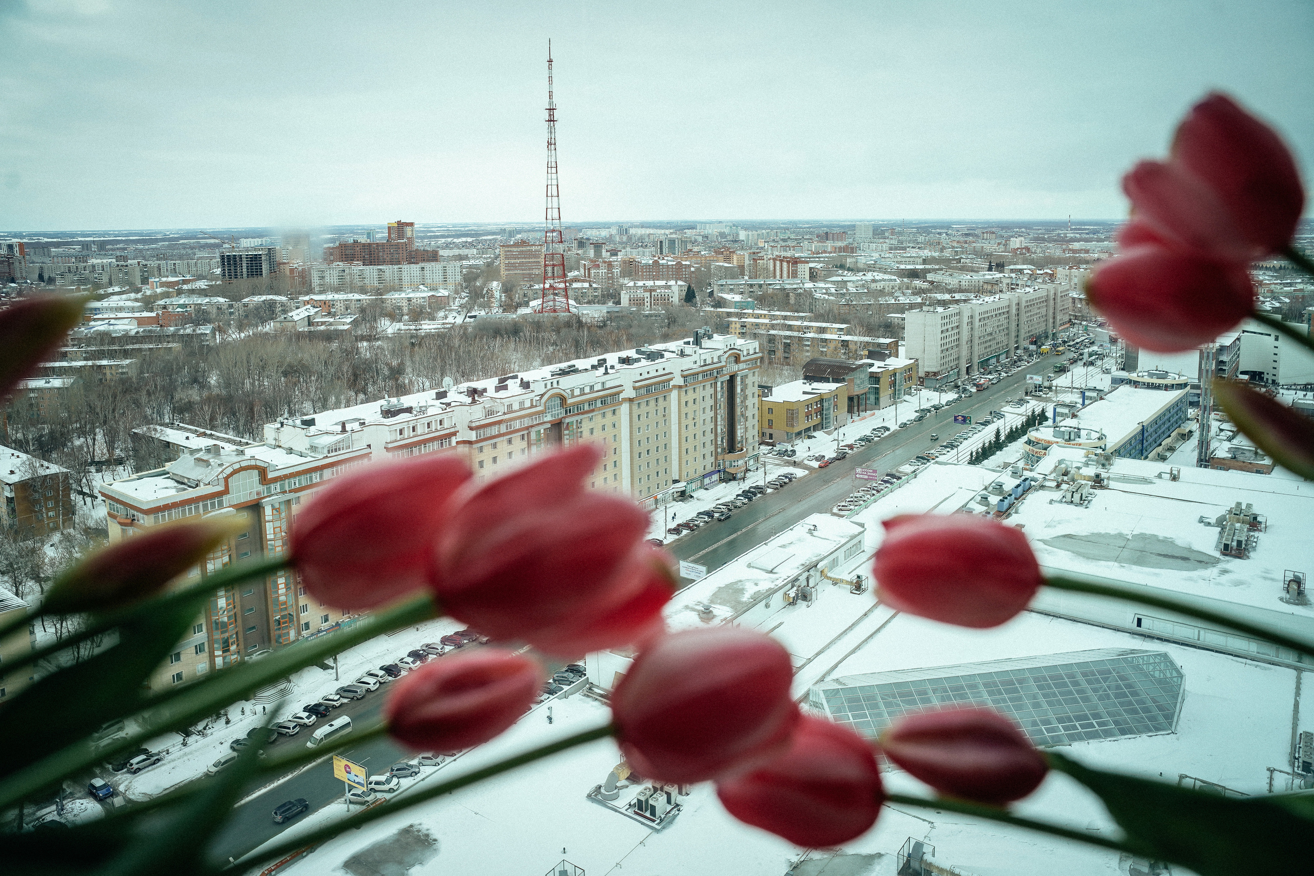 23 февраля и 8 марта в 2Гис