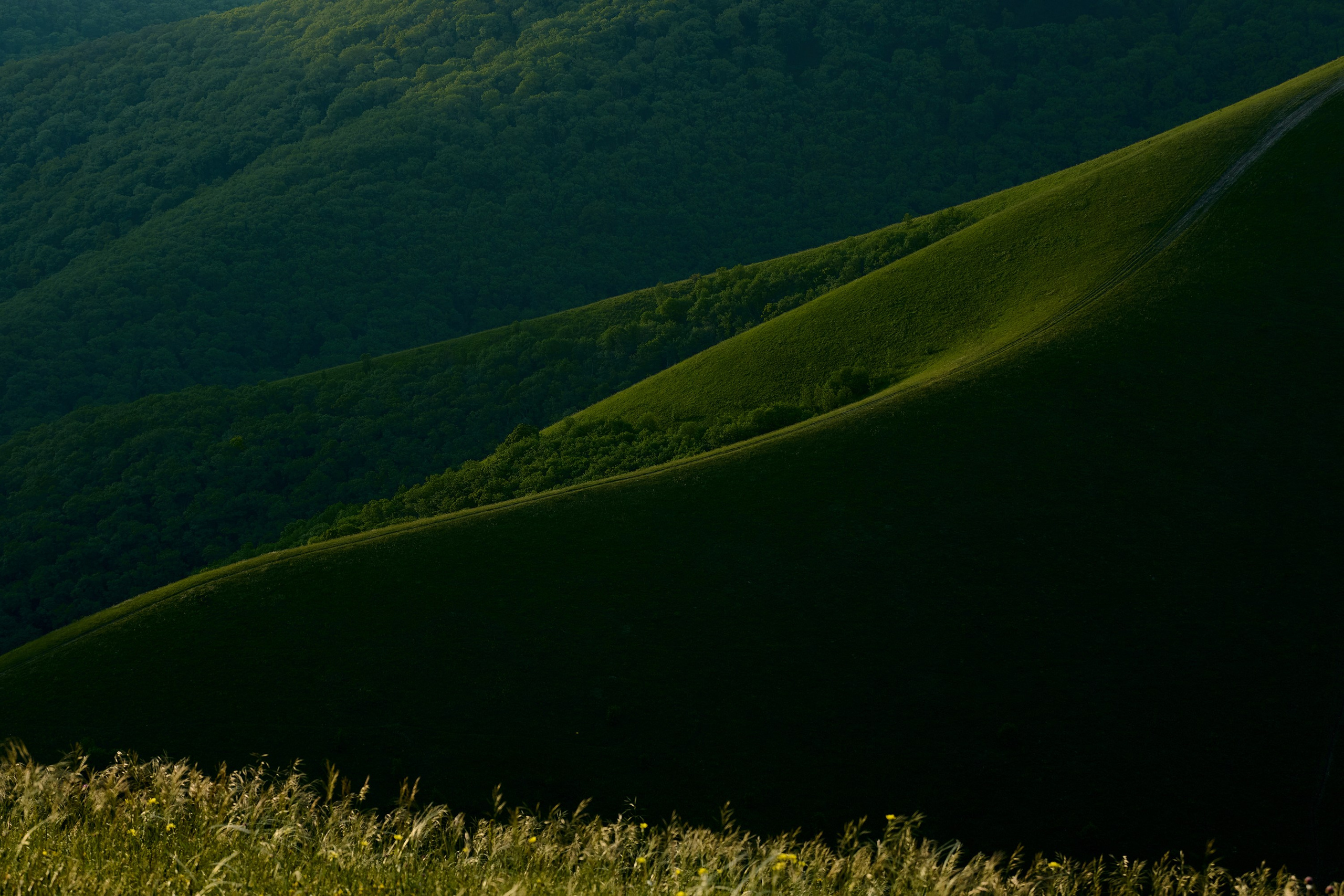 Снято на суше