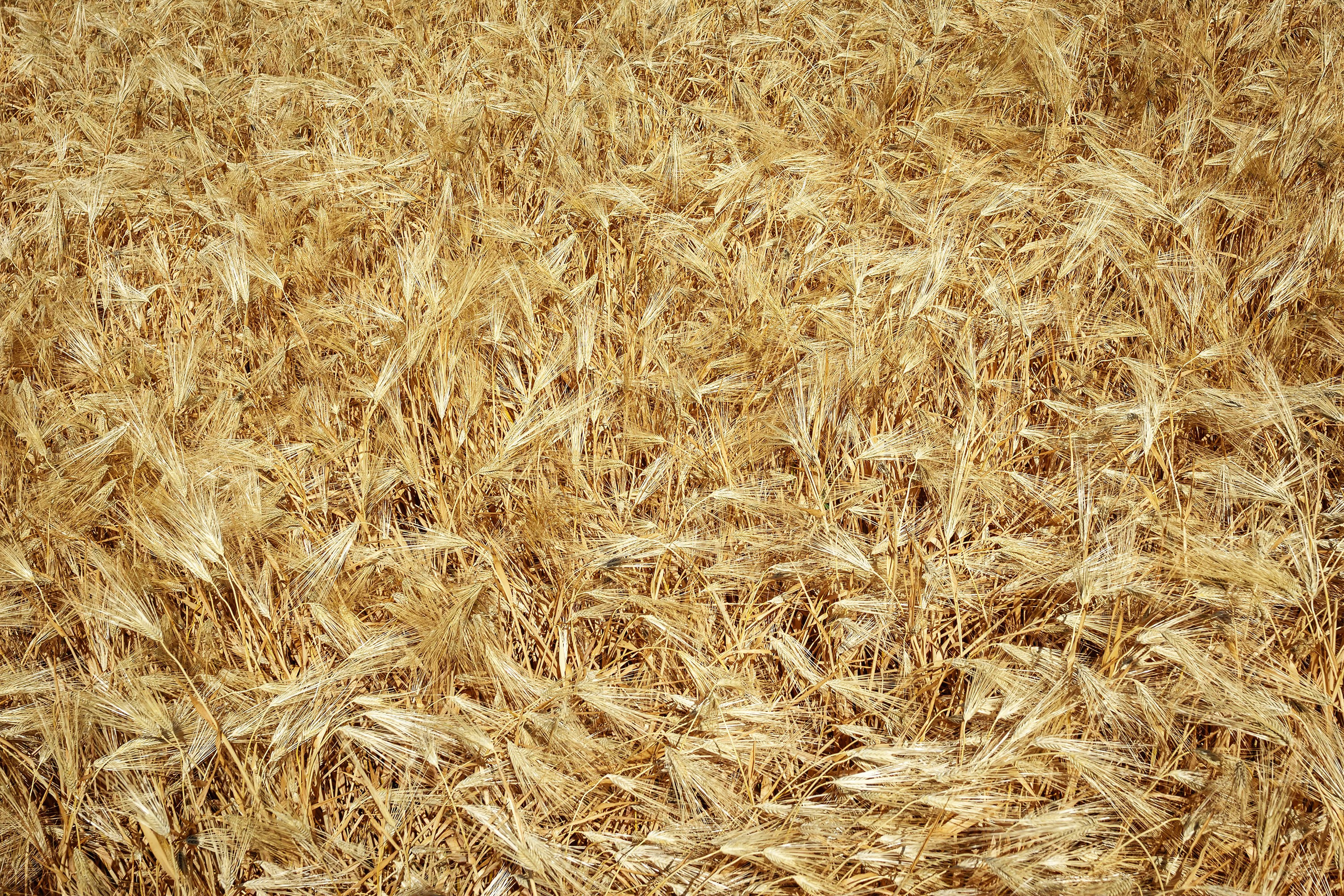 Обои — Текстуры