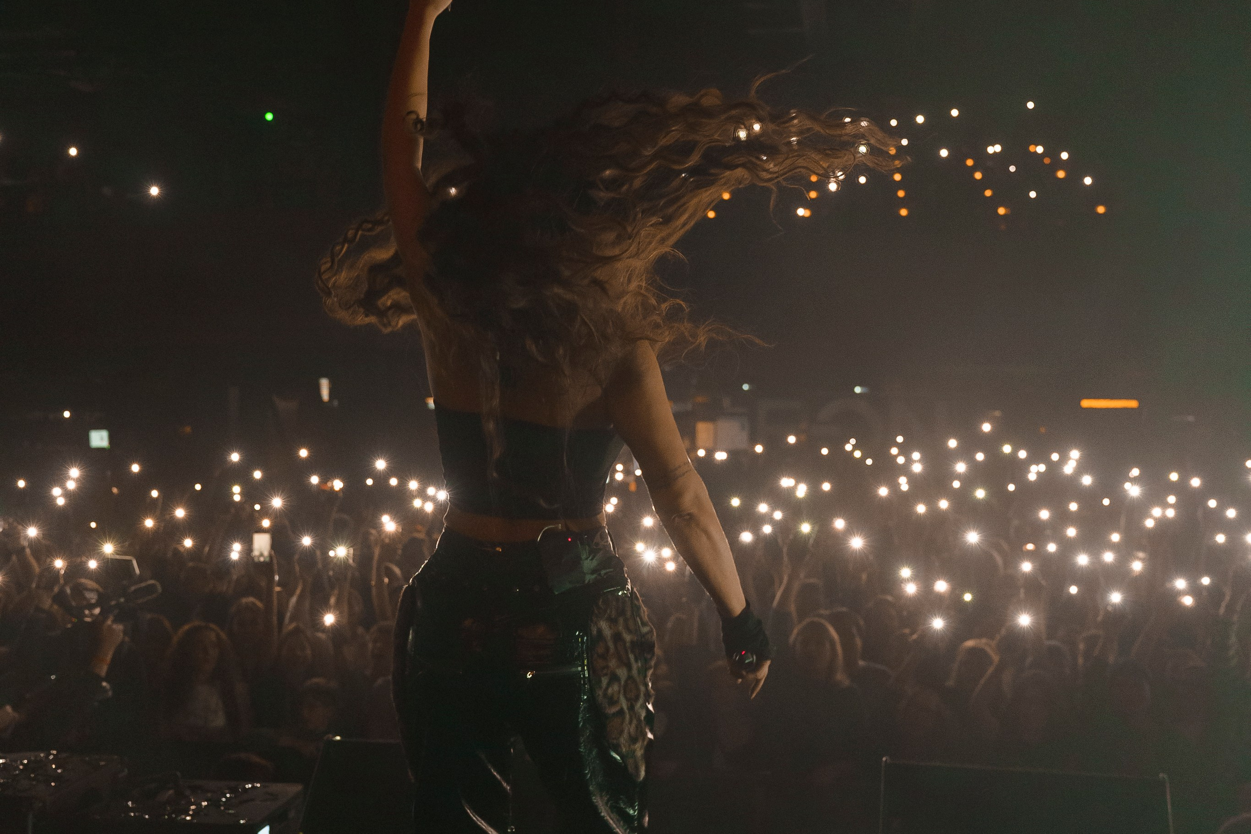 Концерт Bearwolf