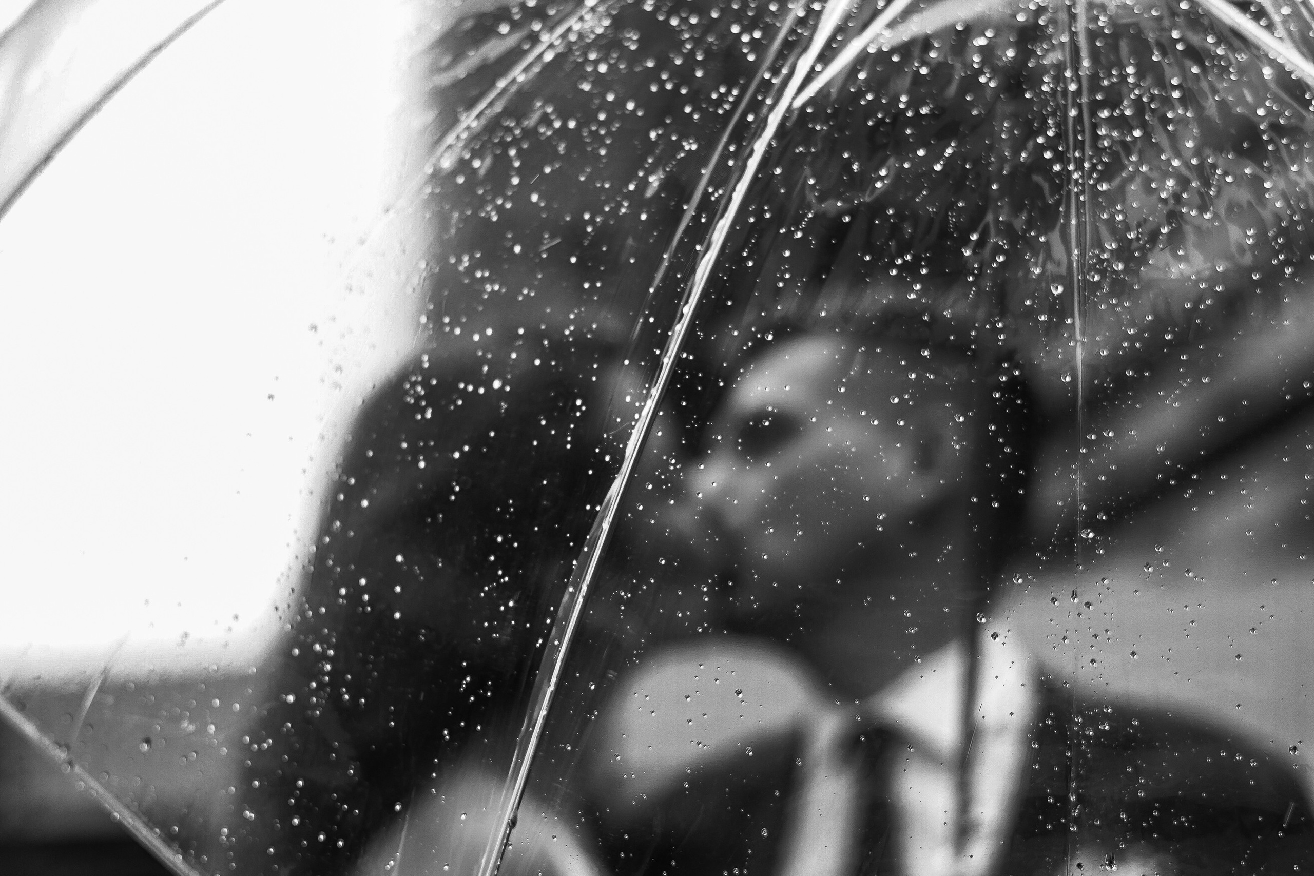 Максим & Анастасия