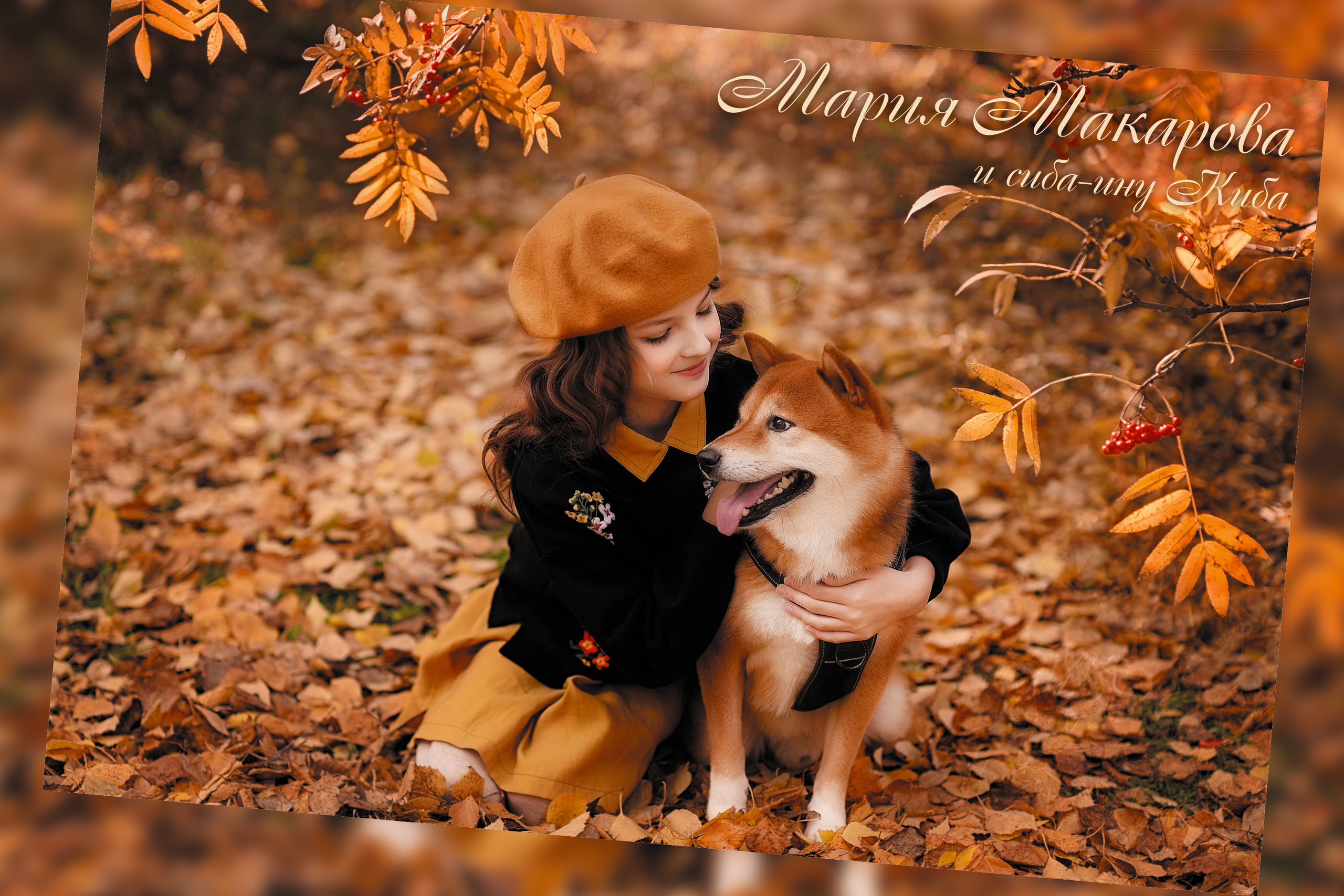 Без названия