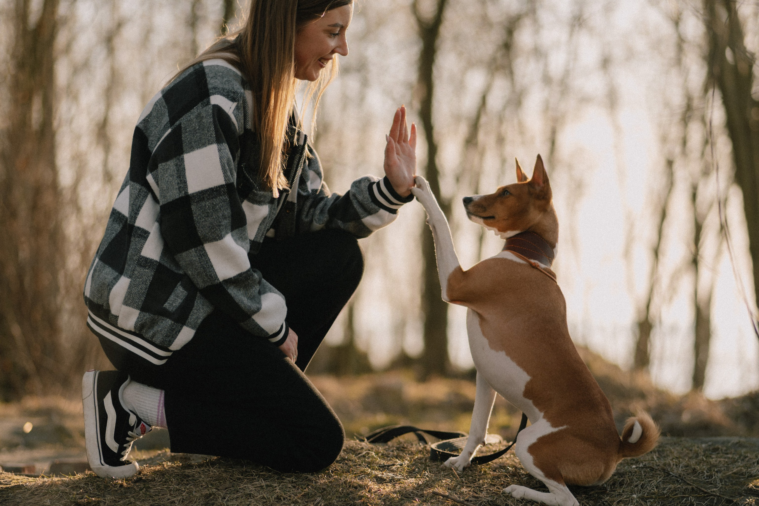 Маша и Хьюстон