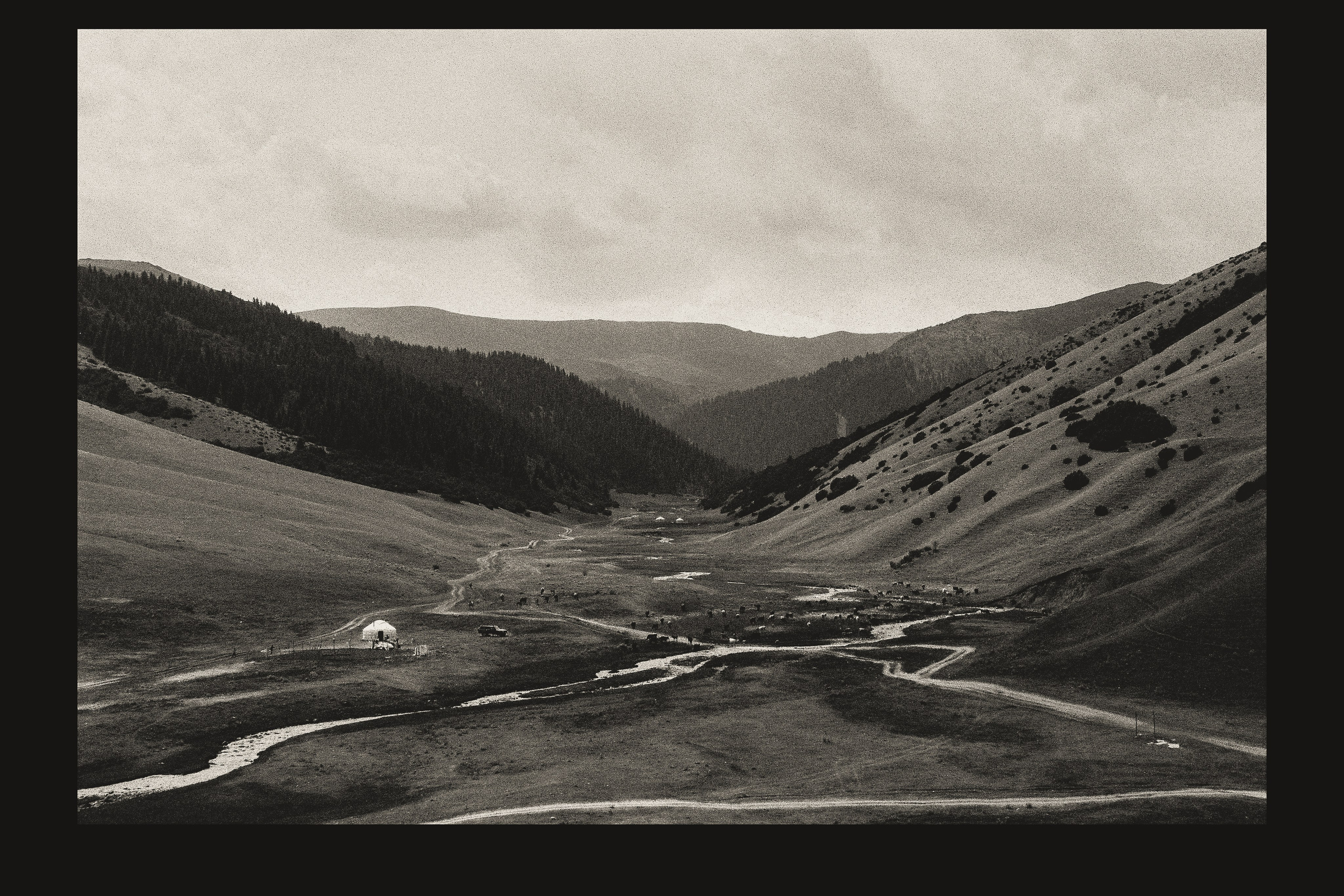 Фотограф в Алматы Артемий Матюнин