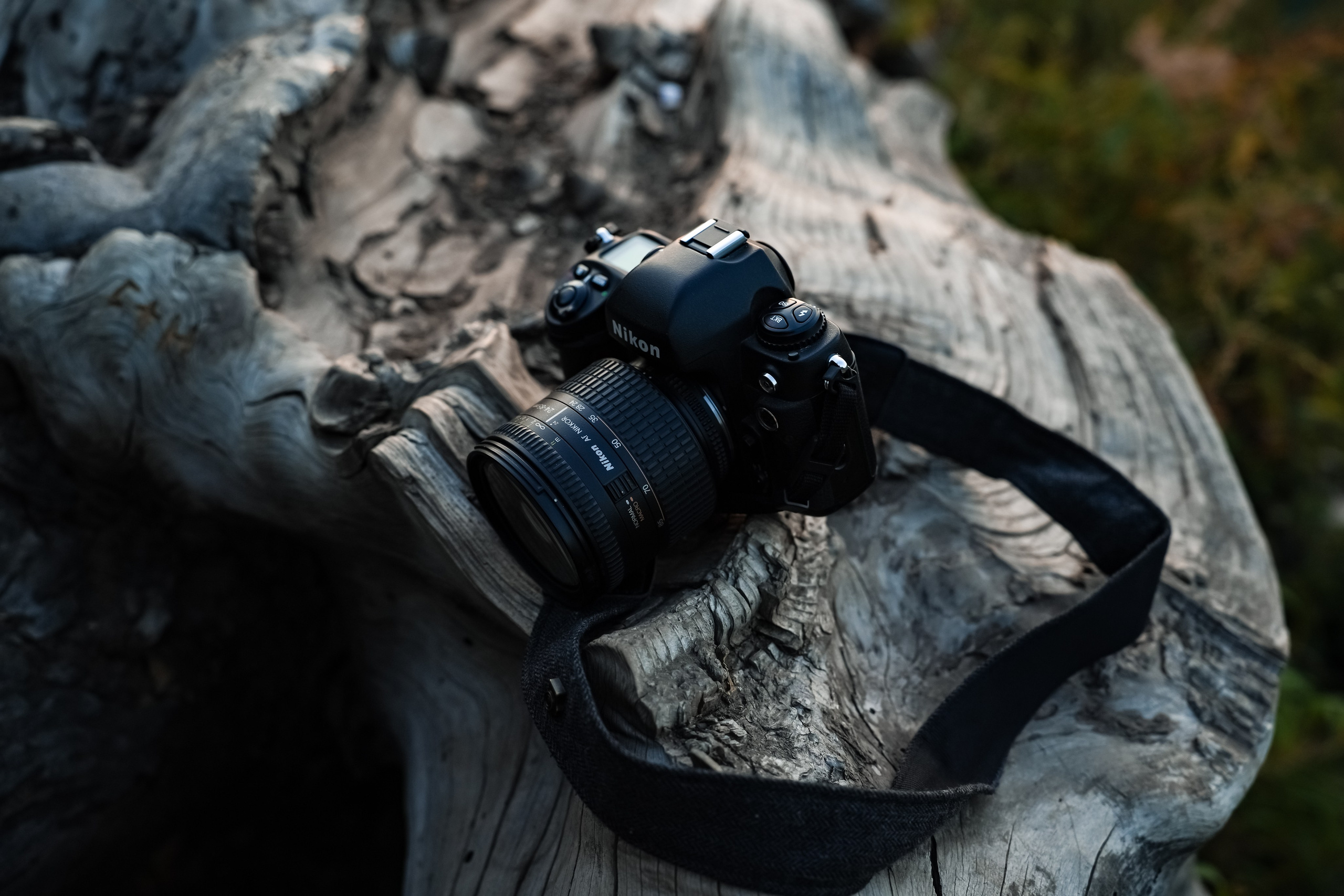 Фотопленка, обзоры, лекции и фотосъемки в Алматы. Фотограф в Алматы Артемий Матюнин