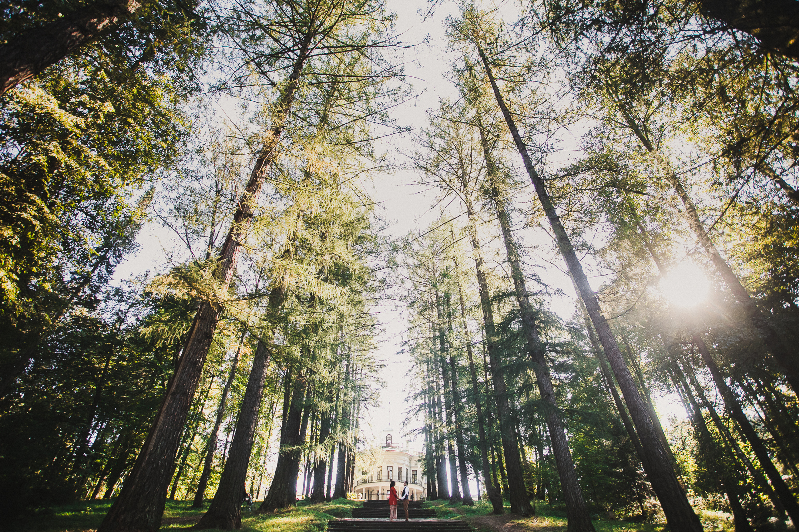 Усадьба Середниково