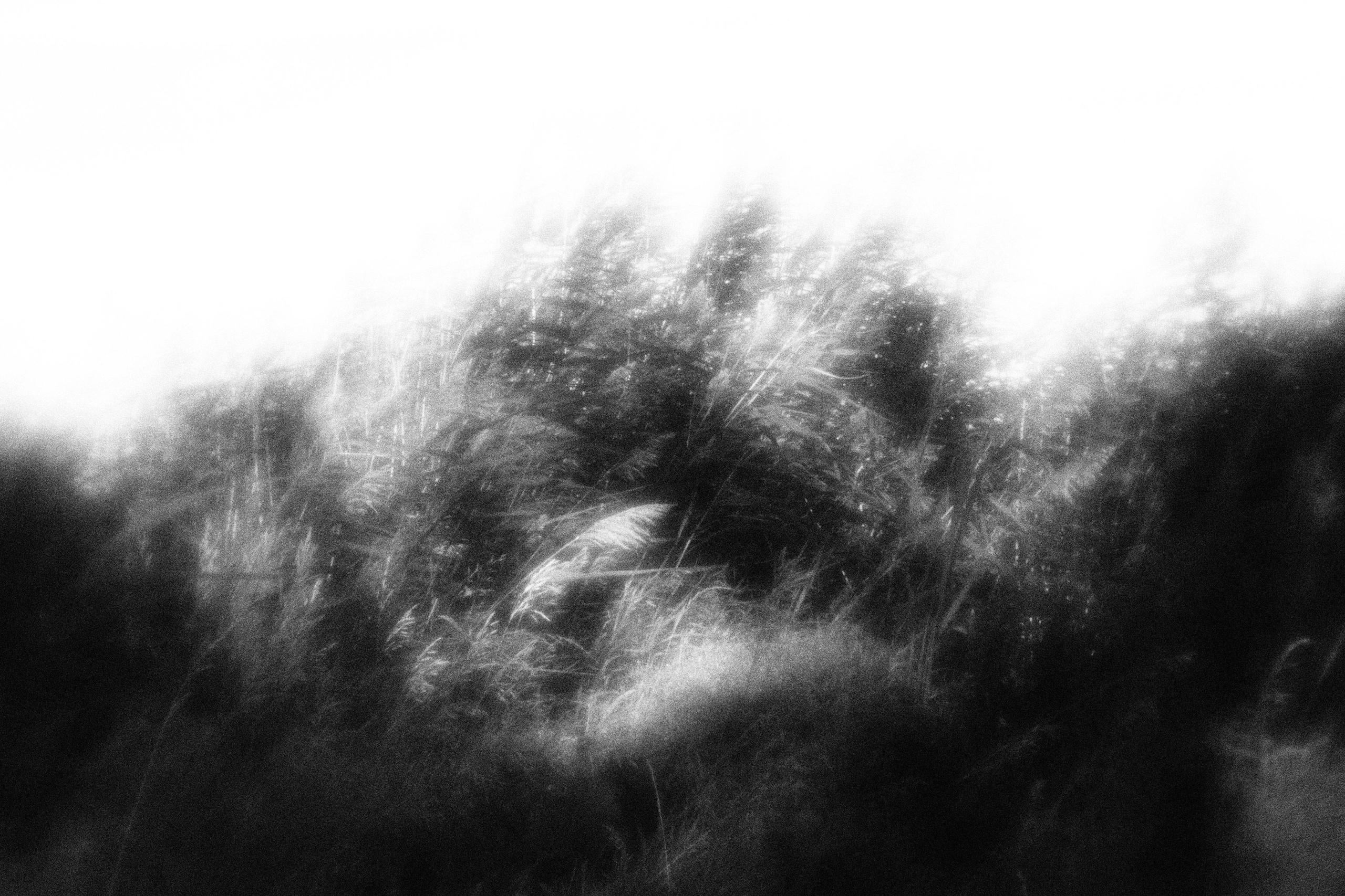 «Внутривенные сны» (2023)