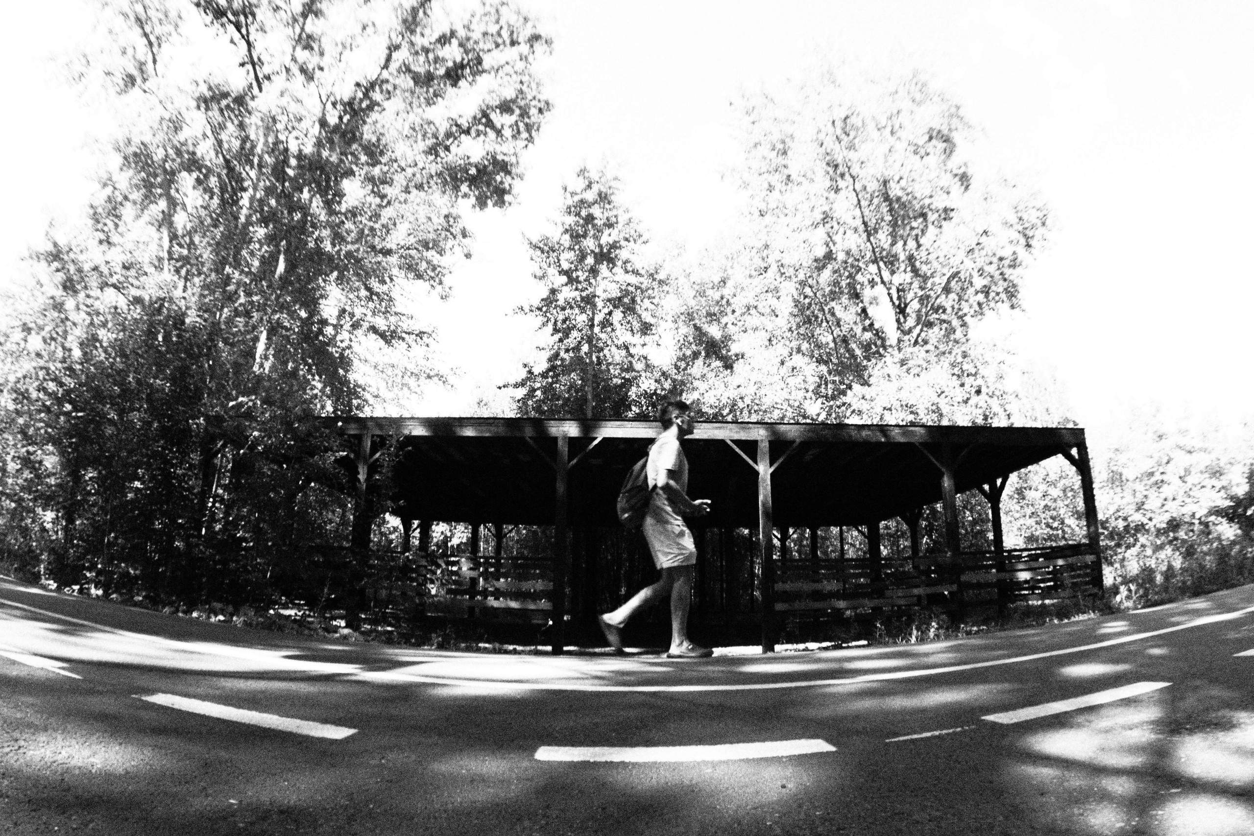 «Движение» (2023)