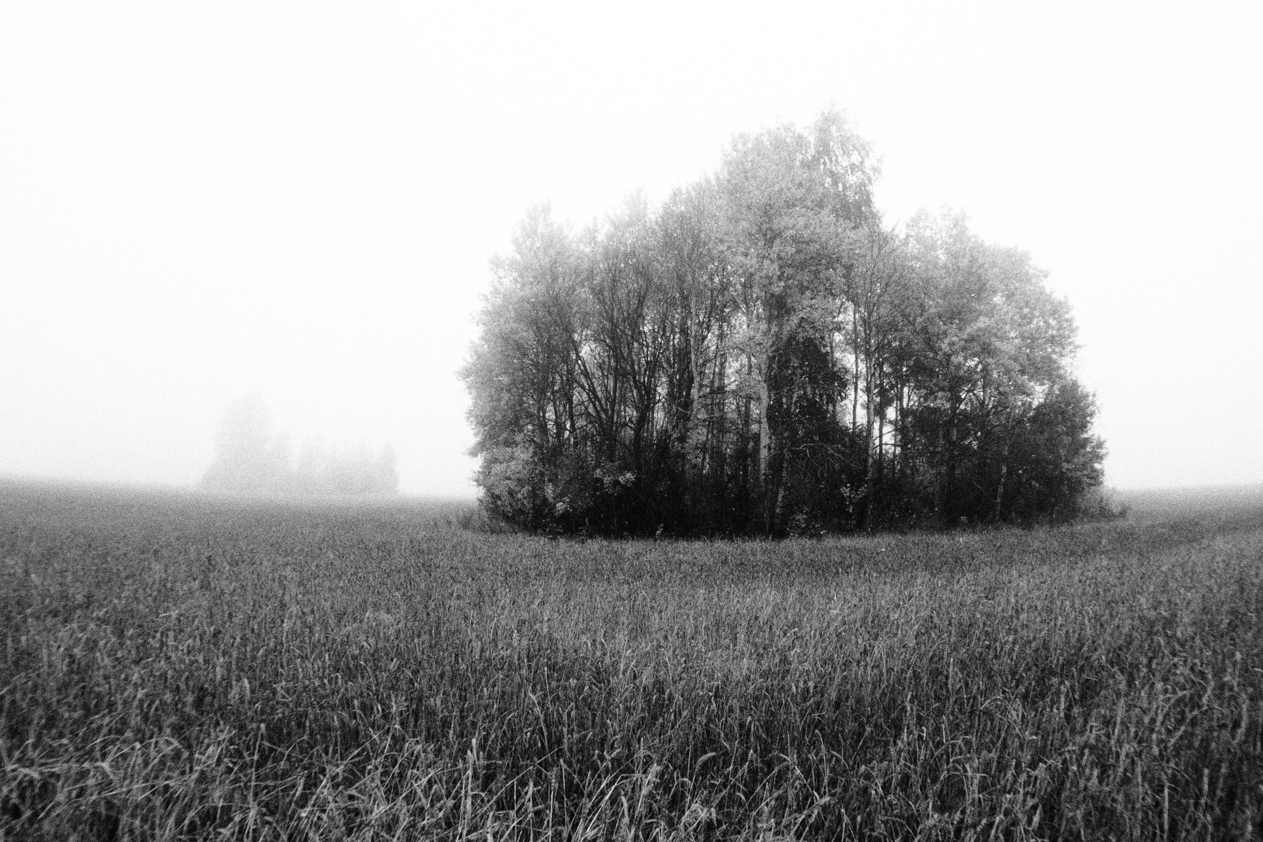 «Промежуточные моменты» (2023)