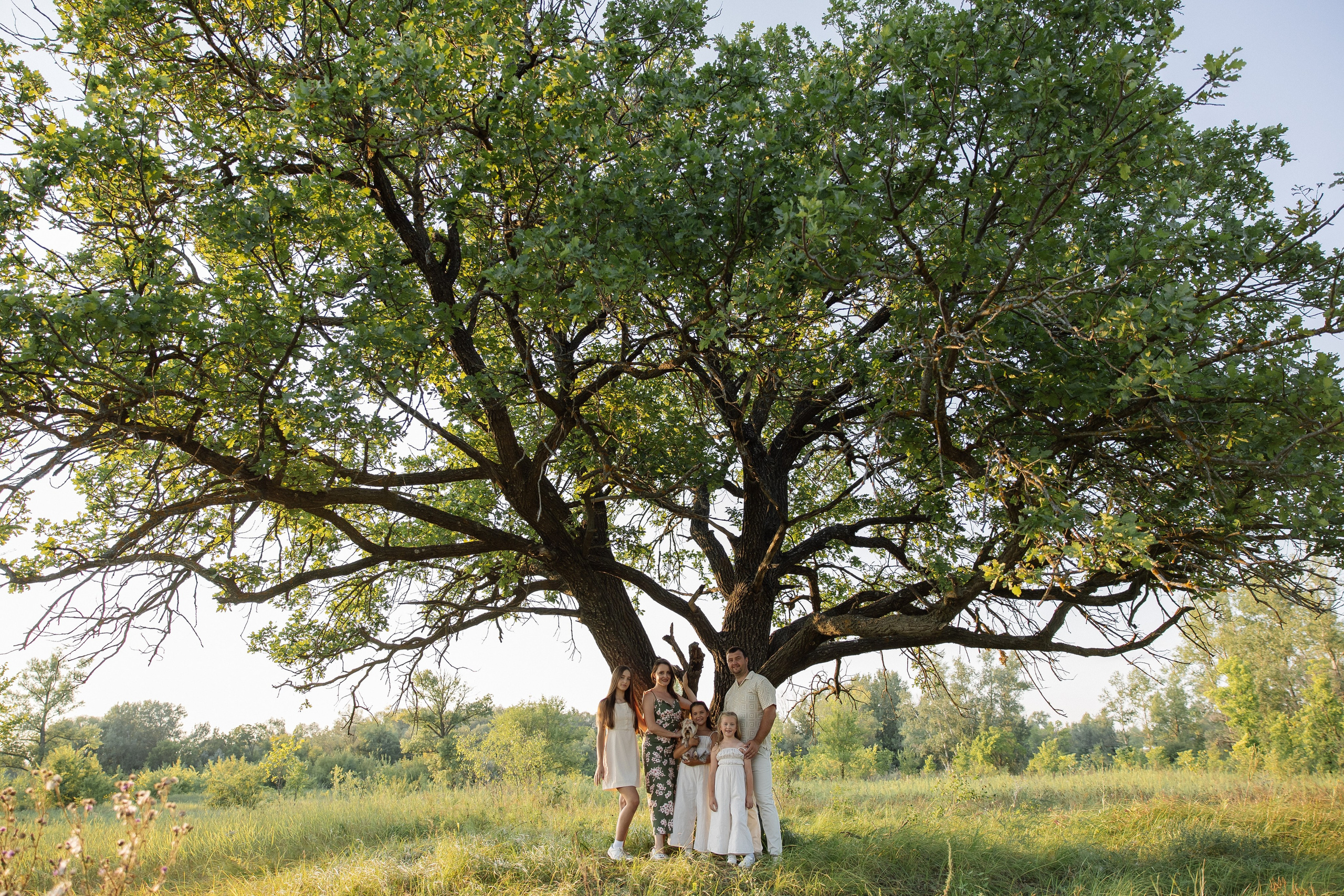 Семья Семёновых