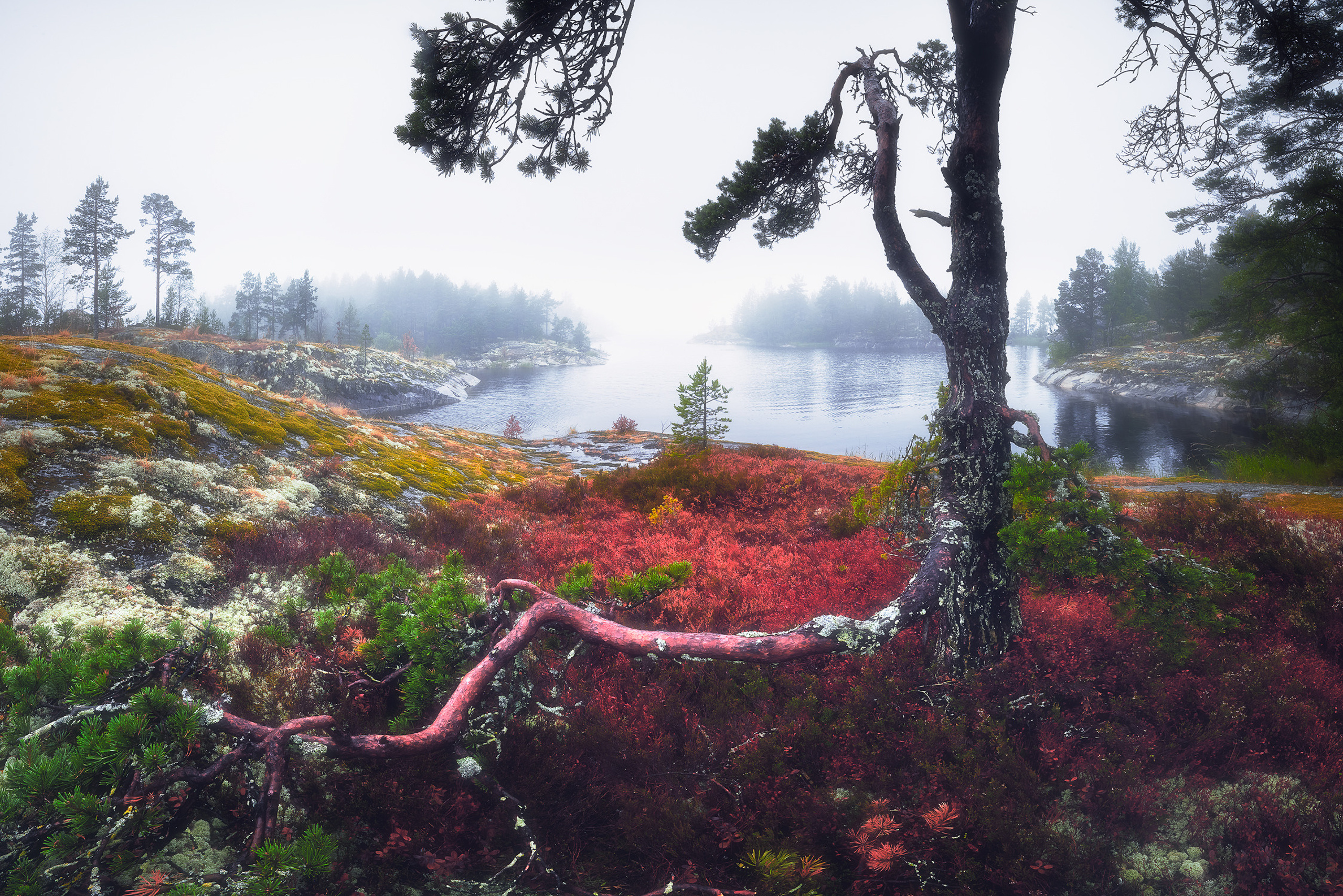 Ладожское озеро