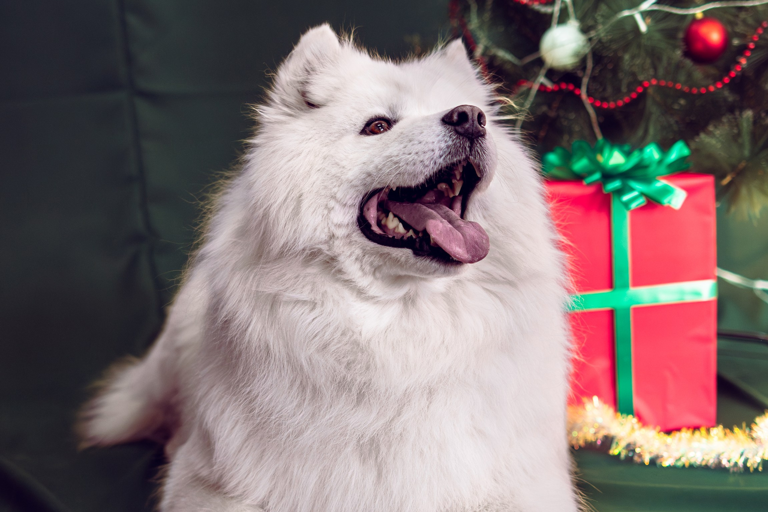 Получить фото и видео. Магия фото/кино от Tony.REC