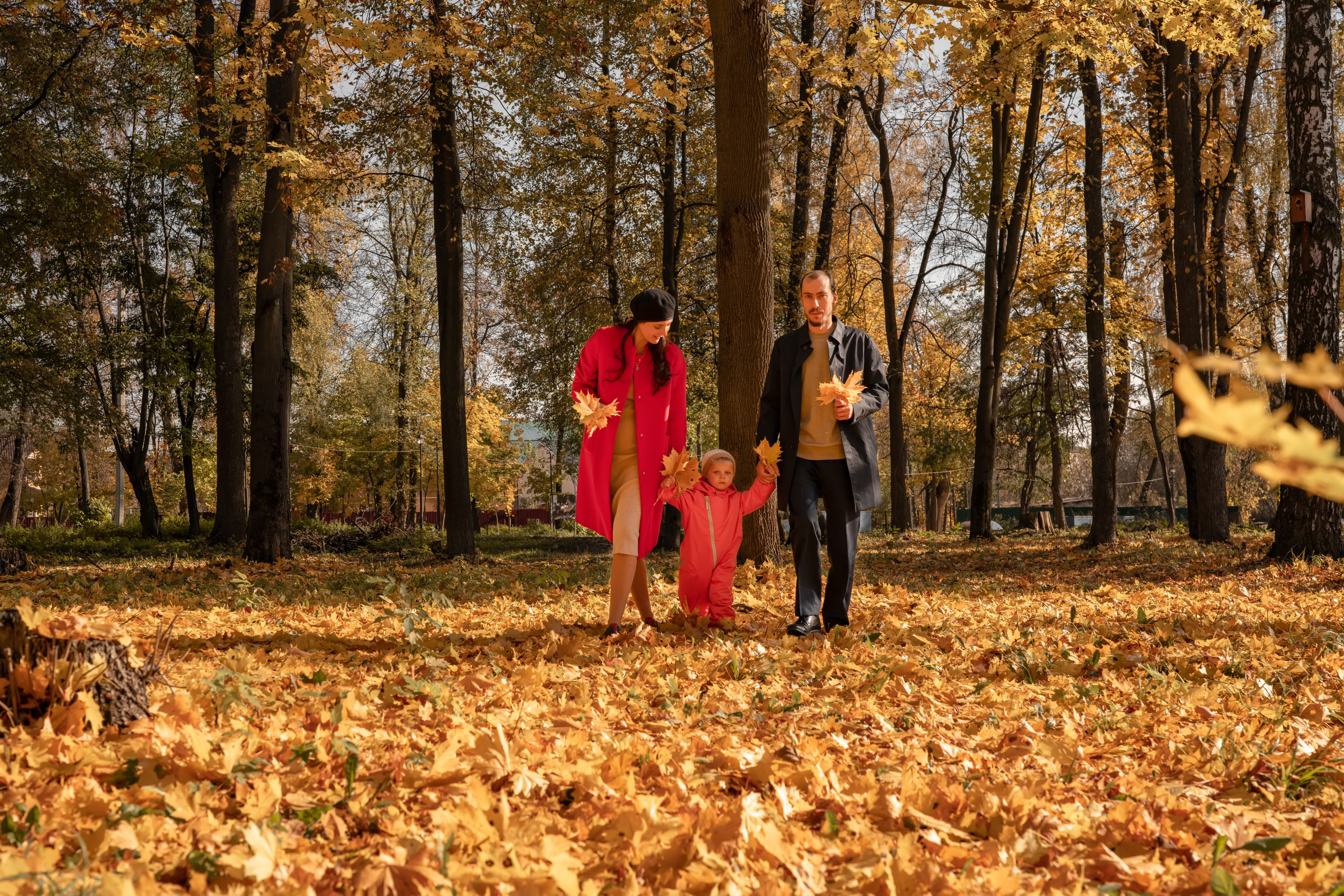 Осенняя прогулка