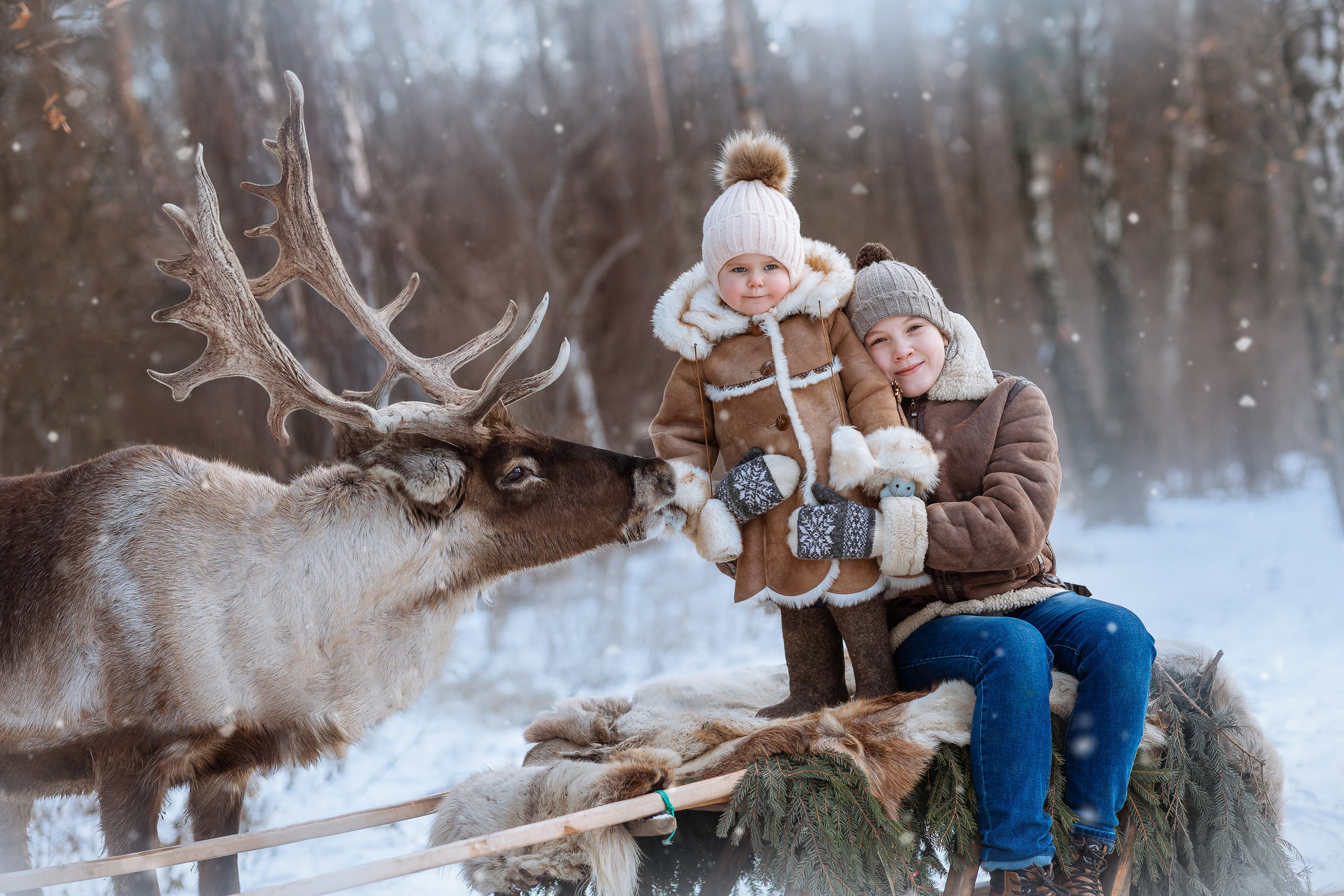 Фотосессии с оленями
