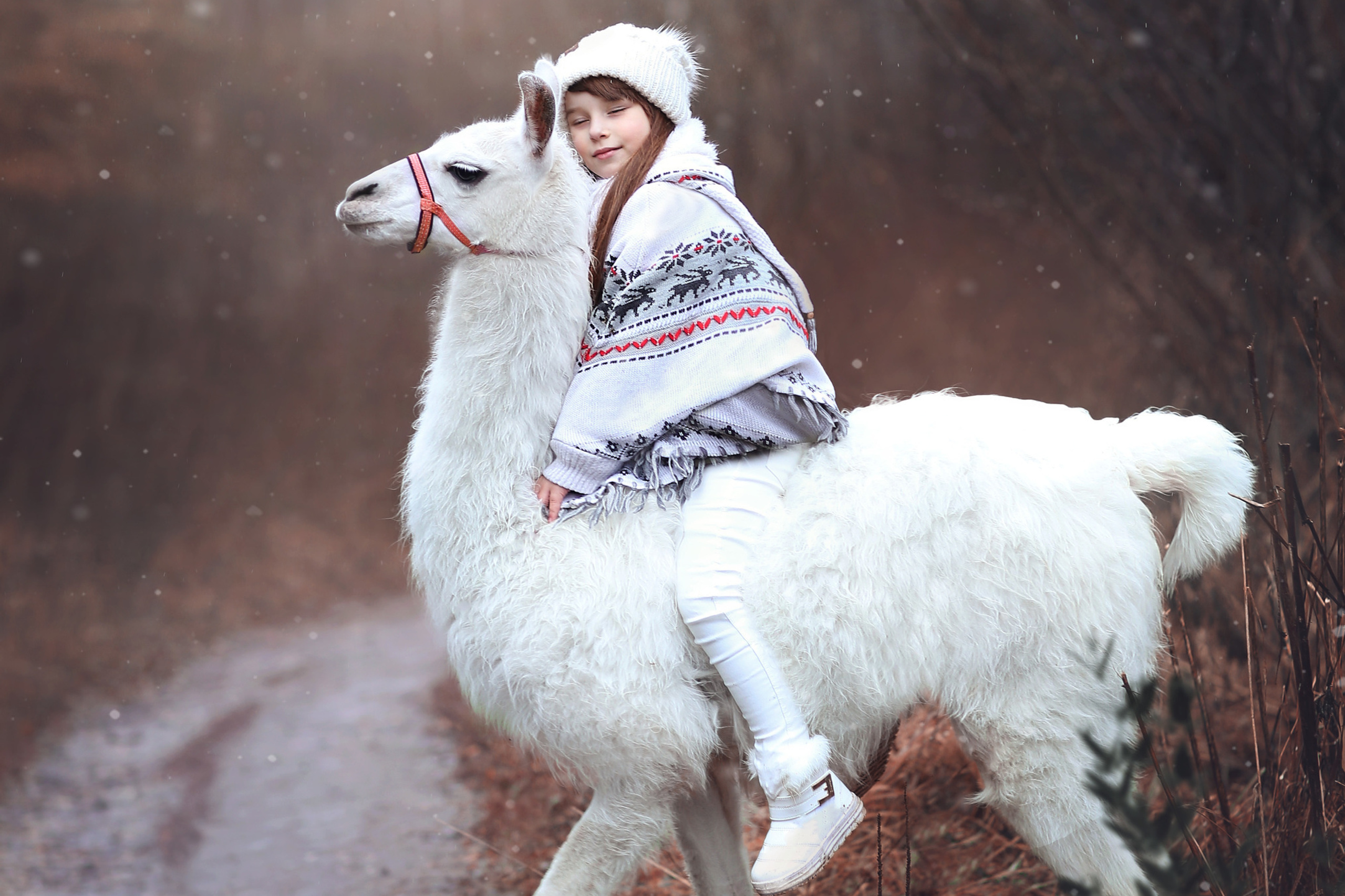 Прогулка с ламой