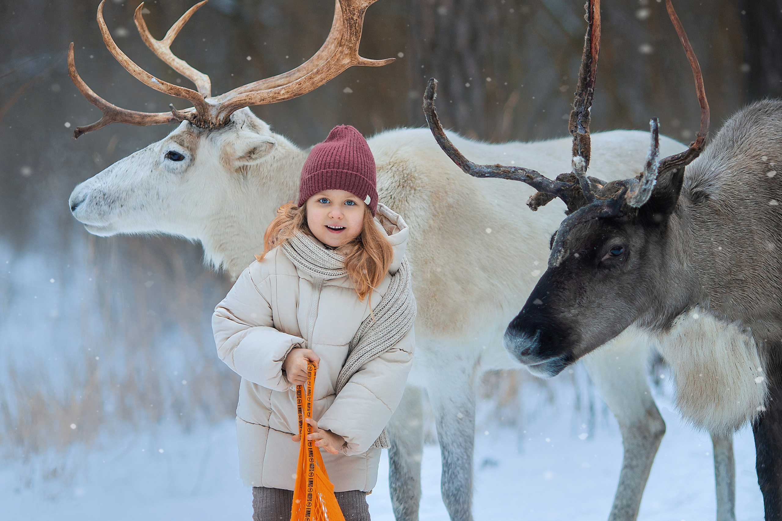 Фотосессии с оленями